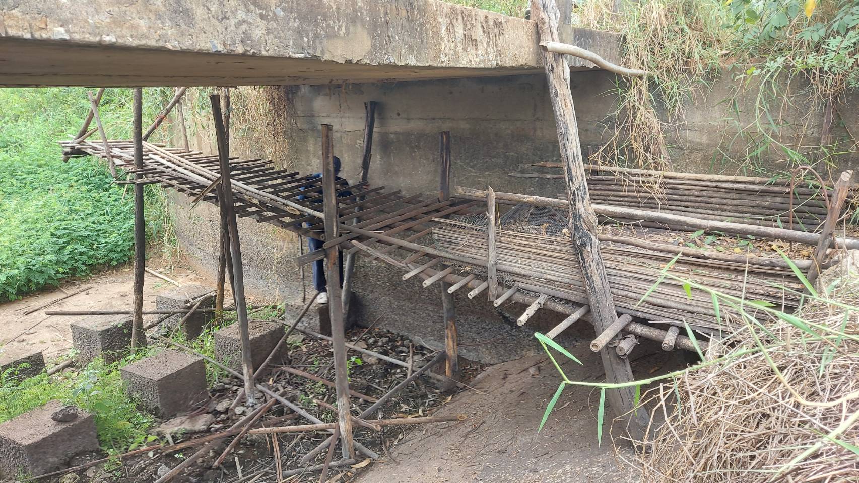 วันที่ 18 เมษายน 2565 นางสาวมลฤดี ลิ้มสุวรรณ ประมงอำเภอศรีบุญเรือง ร่วมกับเจ้าหน้าที่หน่วยป้องกันและปราบปรามประมงน้ำจืดเขื่อนอุบลรัตน์ (ขอนแก่น) และ ผู้ใหญ่บ้าน หมู่ที่ 3 หมู่ที่ 4 และหมู่ที่ 16 ตำบลศรีบุญเรือง..คลิก