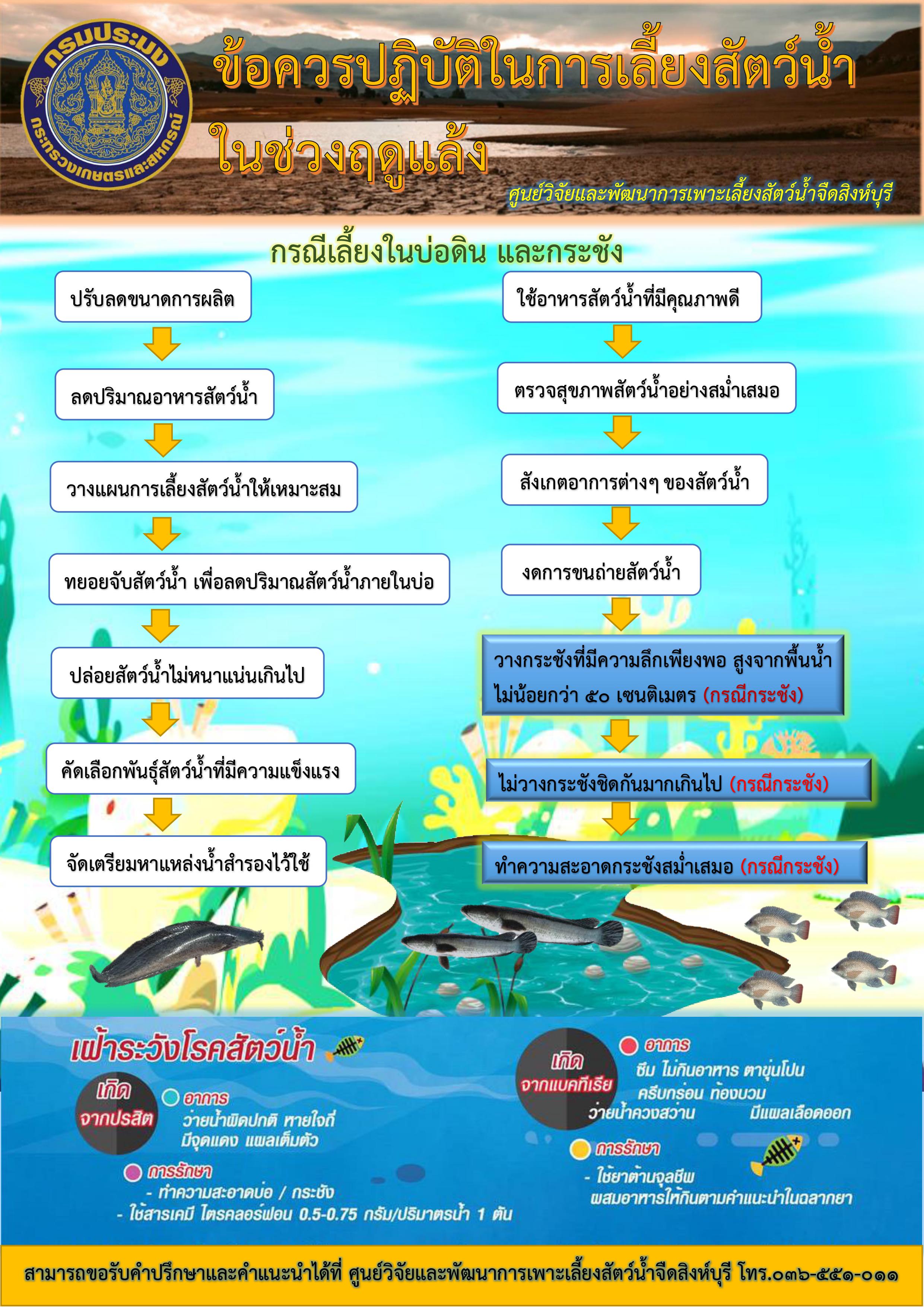 ข้อควรปฏิบัติในการเลี้ยงสัตว์น้ำในช่วงฤดูแล้ง..คลิก