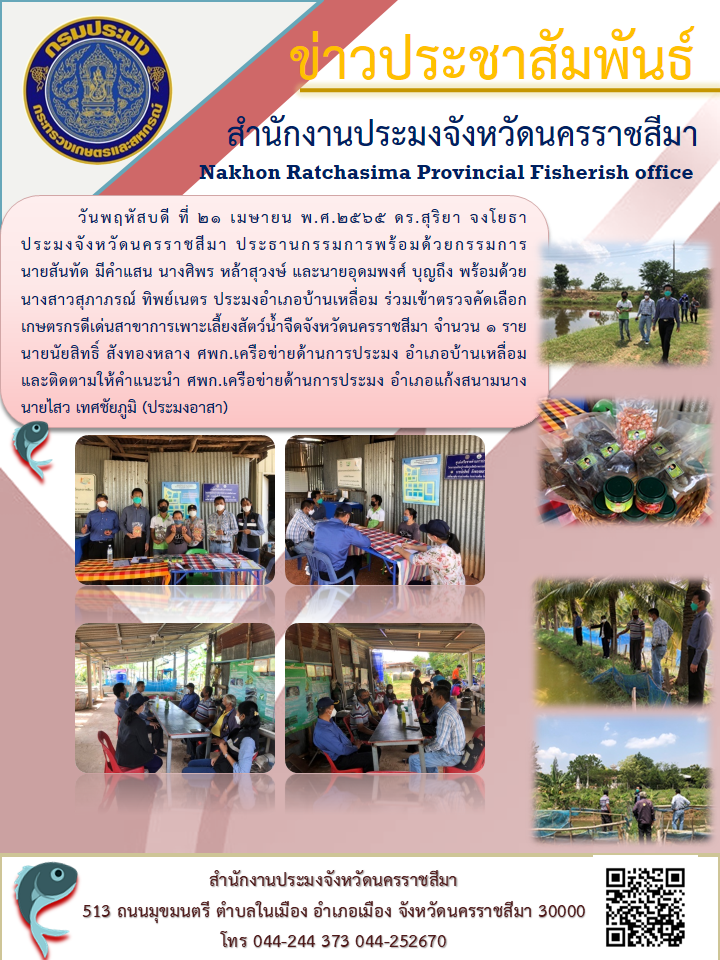 ประมงจังหวัดนครราชสีมา ประธานกรรมการพร้อมด้วยกรรมการ นายสันทัด มีคำแสน นางศิพร หล้าสุวงษ์ และนายอุดมพงศ์ บุญถึง พร้อมด้วย นางสาวสุภาภรณ์ ทิพย์เนตร ประมงอำเภอบ้านเหลื่อม ร่วมเข้าตรวจคัดเลือกเกษตรกรดีเด่นสาขาการเพาะเลี้ยงสัตว์น้ำจืดจังหวัดนครราชสีมา..คลิก