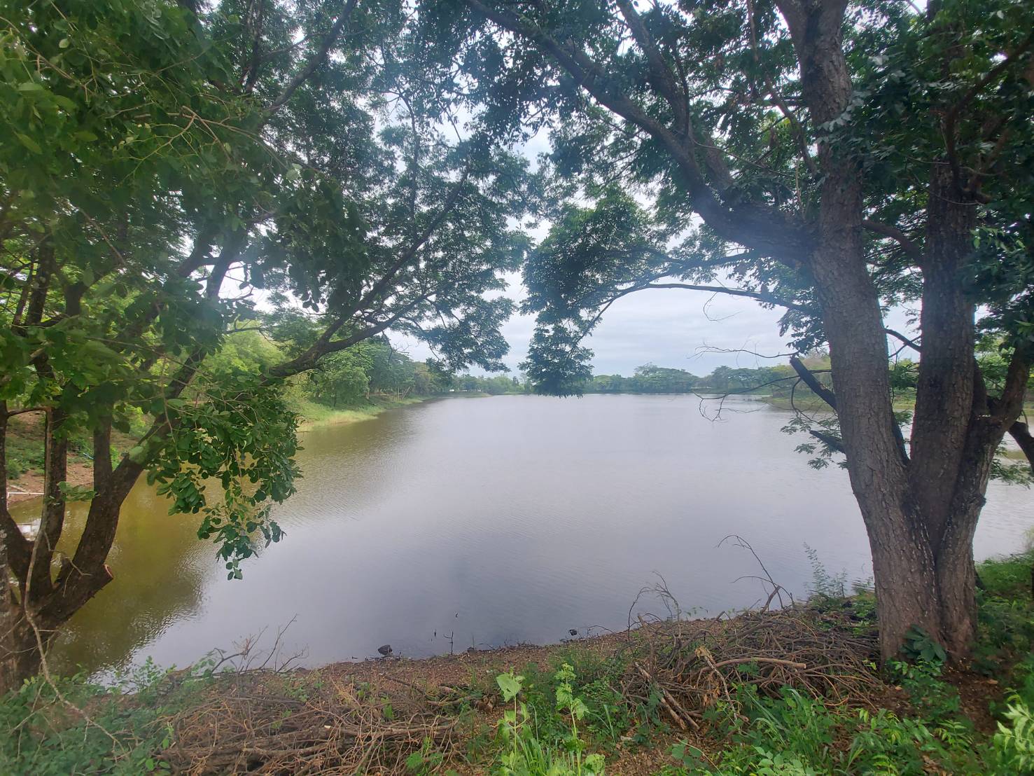 วันที่ 3 พฤษภาคม 2565 นายสมภาร วังคีรี ประมงอำเภอเมืองหนองบัวลำภู ติดตามการดำเนินงานโครงการธนาคารสินค้าเกษตร ณ แหล่งน้ำห้วยกระทอ หมู่ที่ 1 ตำบลกุดจิก อำเภอเมืองหนองบัวลำภู จังหวัดหนองบัวลำภู..คลิก