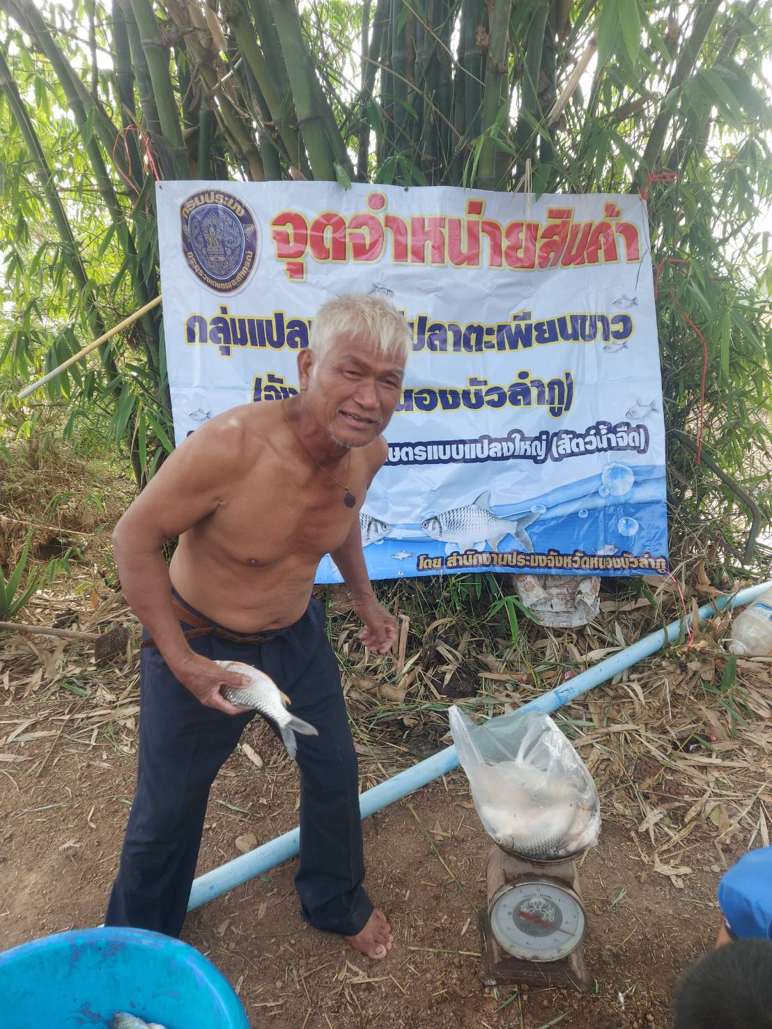 วันที่ 5 พฤษภาคม 2565  นายเมธา ตาลเหล็ก ประมงอำเภอนากลาง ติดตามการจับผลผลิตและการจำหน่ายผลผลิตสินค้าของแปลงใหญ่ปลาตะเพียนขาว (แปลงปี 2564) กลุ่มผู้เลี้ยงปลาตำบลอุทัยสวรรค์ อำเภอนากลาง จังหวัดหนองบัวลำภู..คลิก