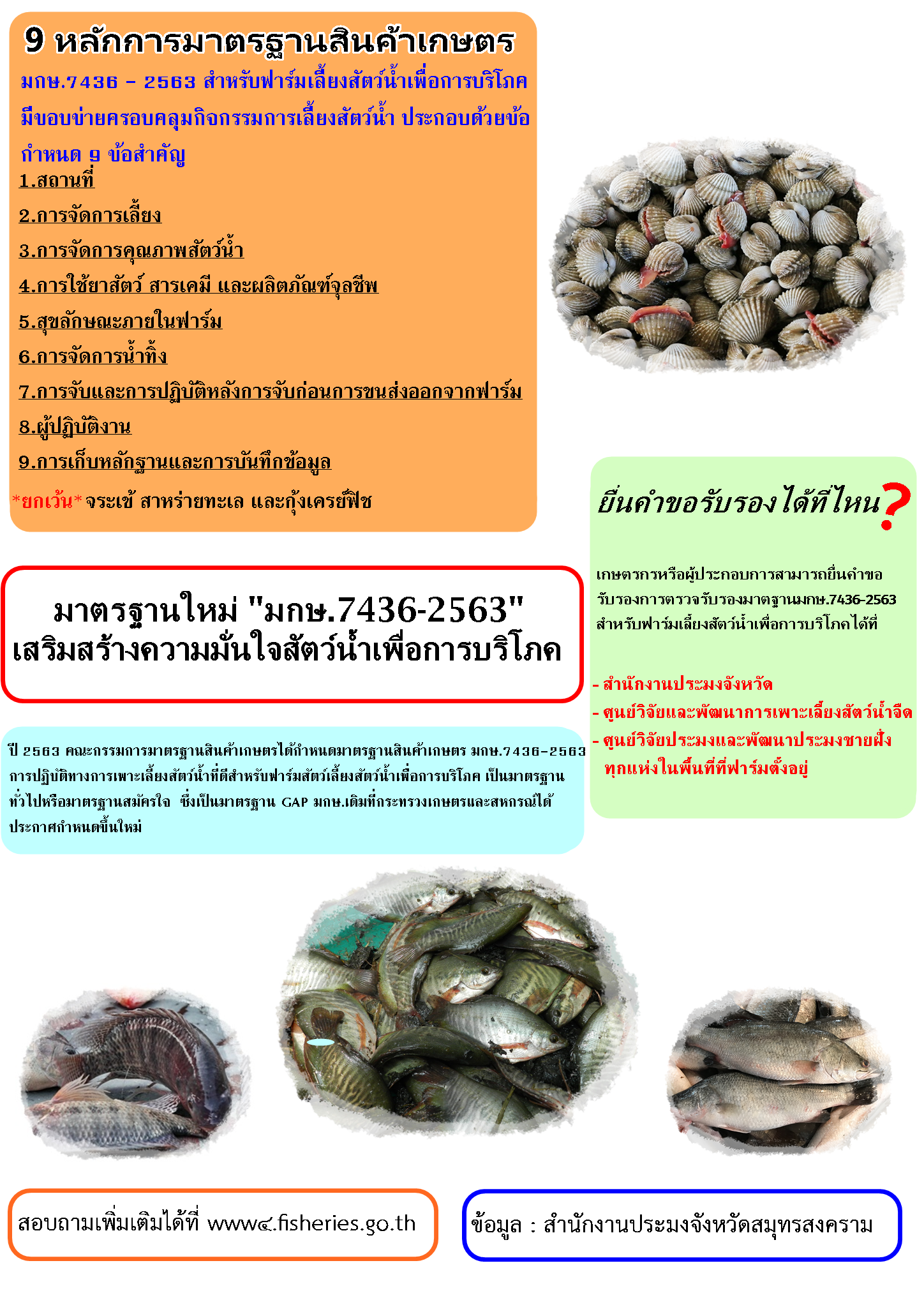 มาตรฐานใหม่ 