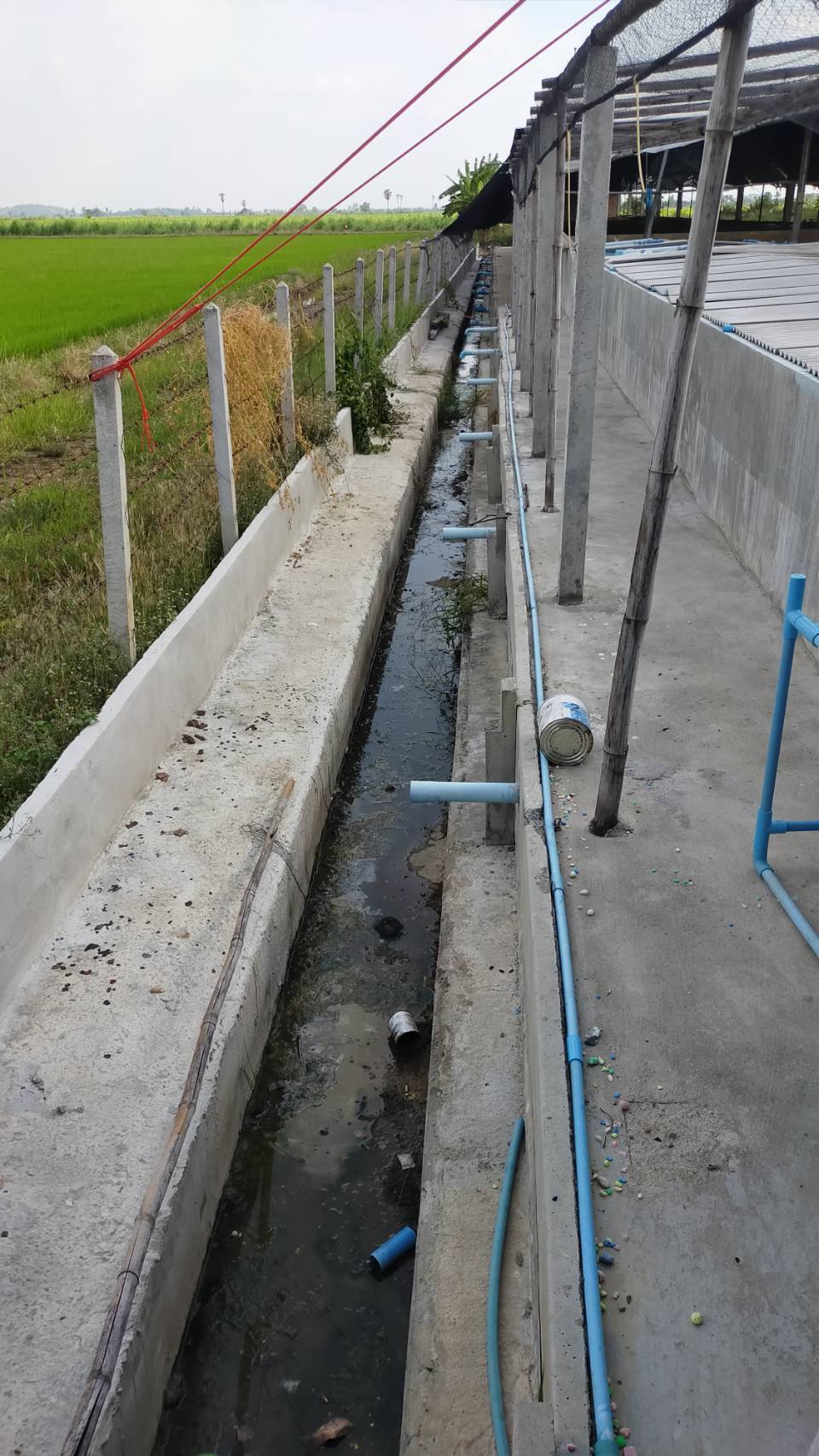 ตรวจติดตามฟาร์มเพาะพันธุ์และอนุบาลกุ้งทะลในเขตพื้นที่ ตำบลพังตรุ อำเภอพนมทวน จังหวัดกาญจนบุรี..คลิก