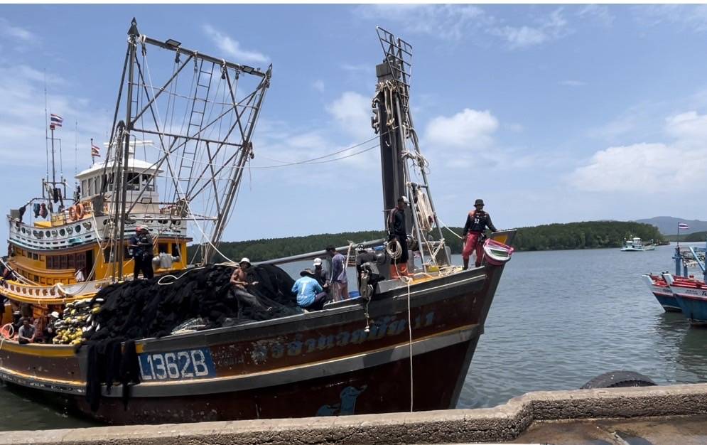 เรือประมงพาณิชย์ ชื่อ ศรีอำนวยชัย11เรืออวนล้อมจับ (อวนดำ)จับปลามงฝูงใหญ่ได้กว่า 1,000 กิโลกรัม..คลิก