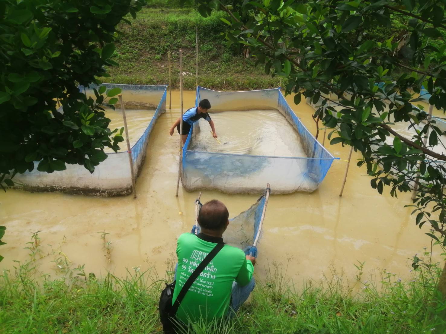 ตรวจประเมิน และติดตามรับรองคุณภาพสินค้าประมง ตามโครงการส่งเสริมอาชีพประมง กิจกรรมยกระดับมาตรฐานคุณภาพสินค้าประมง..คลิก