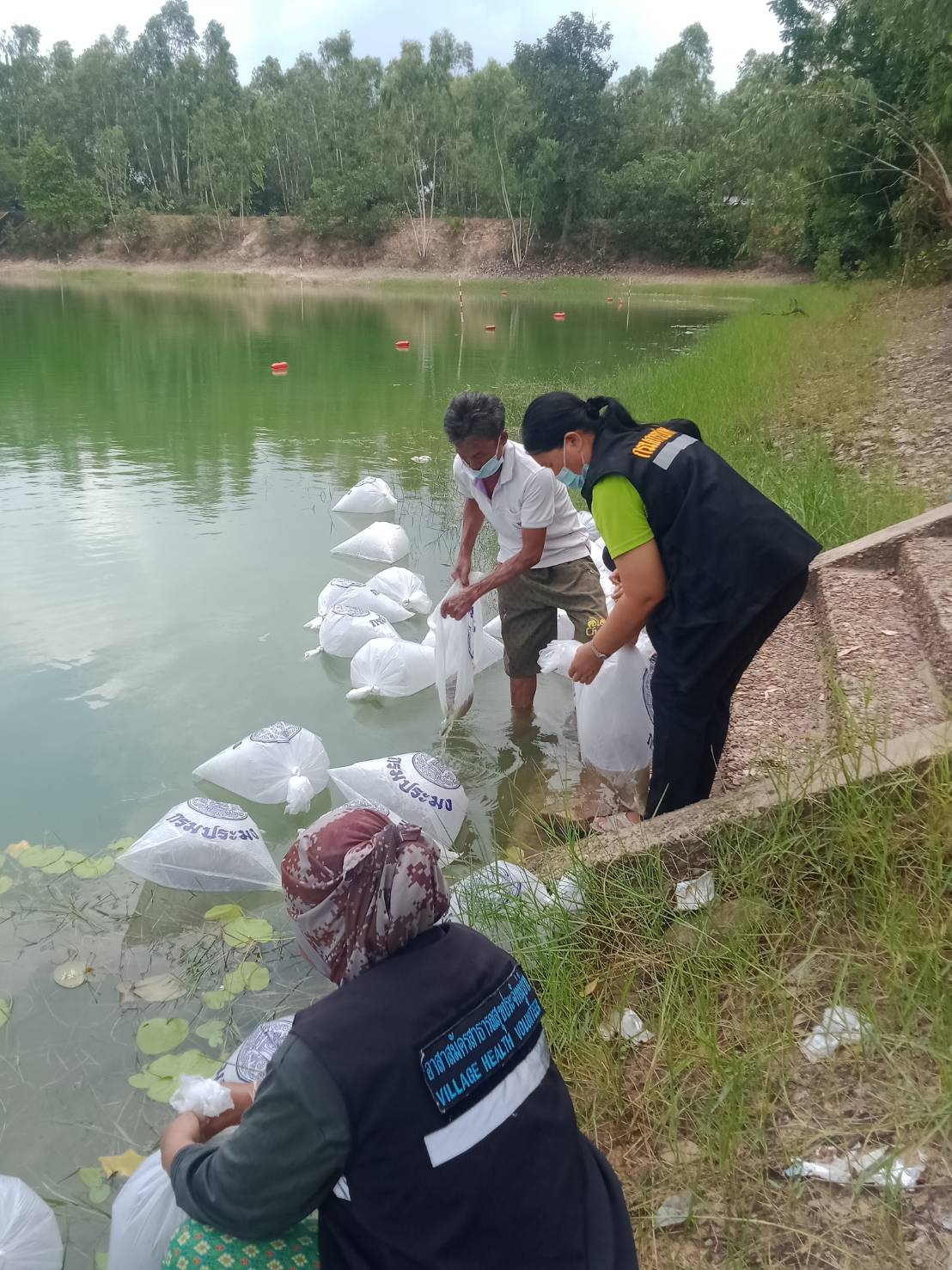 การปล่อยพันธุ์สัตว์น้ำโครงการผลผลิตพัฒนาศักยภาพด้านประมง ณ.หนองส้มป่อย..คลิก