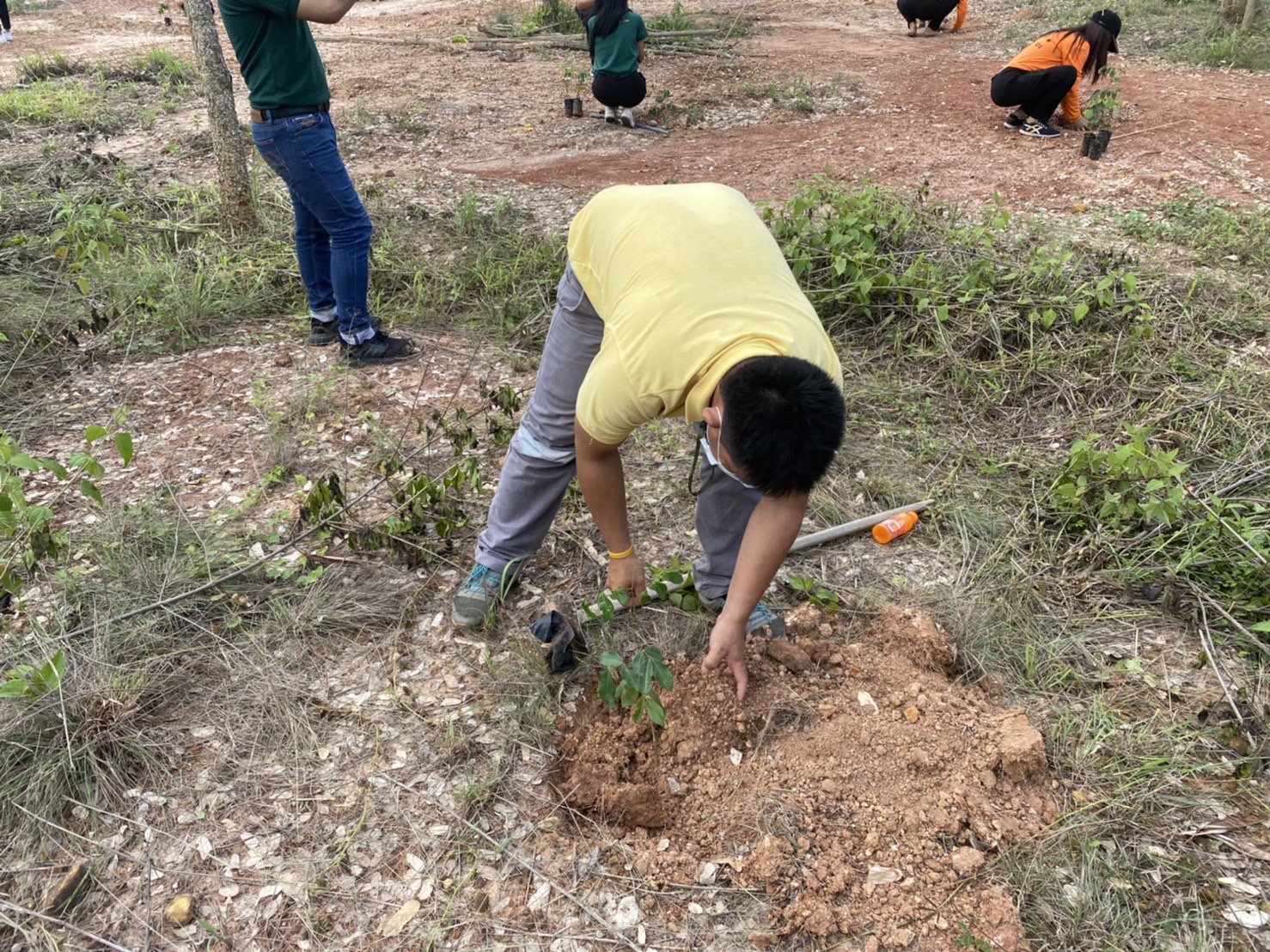 วันที่ 20 พฤษภาคม 2565 เวลา 08.30 น. นายบุญหลาย กุลนารัตน์ ประมงจังหวัดหนองบัวลำภู  ร่วมโครงการปลูกป่า และป้องกันไฟป่า เนื่องในวันวันต้นไม้ประจำปีของชาติ พ.ศ. 2565 ณ บริเวณพื้นที่สาธารณะประโยชน์และป่าชุมชน หมู่ที่ 7 ตำบลหนองภัยศูนย์ อำเภอเมือง จังหวัดหนองบัวลำภู..คลิก