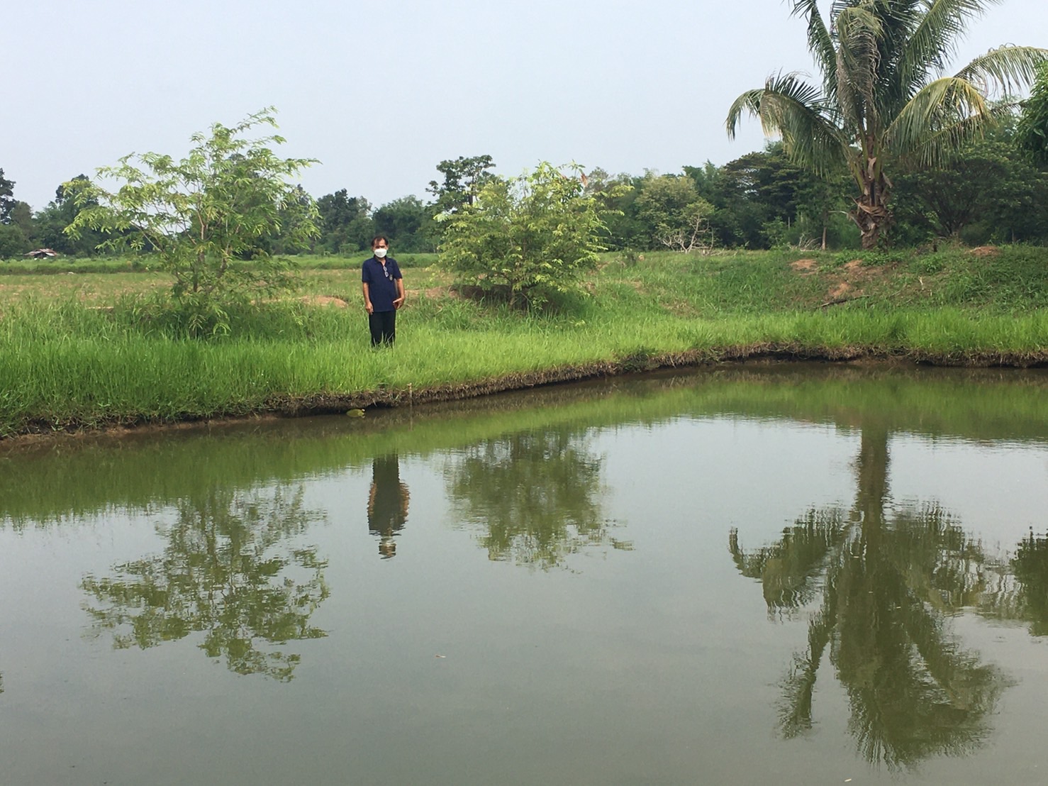 วันที่ 23 พฤษภาคม 2565 นายสมภาร วังคีรี ประมงอำเภอเมืองหนองบัวลำภู ออกปฎิบัติงานตรวจติดตามงานโครงการส่งเสริมอาชีพประมงเกษตรทฤษฎีใหม่ด้านการประมง..คลิก