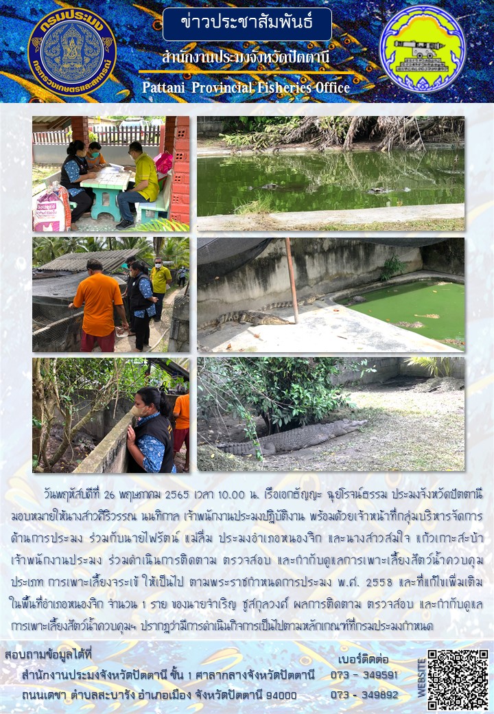 สำนักงานประมงจังหวัดปัตตานีดำเนินการติดตาม ตรวจสอบ และกำกับดูแลการเพาะเลี้ยงสัตว์น้ำควบคุม  ประเภท การเพาะเลี้ยงจระเข้ ให้เป็นไป ตามพระราชกำหนดการประมง พ.ศ. 2558 และที่แก้ไขเพิ่มเติม..คลิก