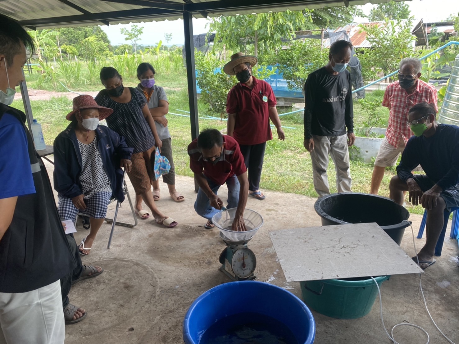 นที่ 26 พฤษภาคม 2565 เวลา 13.00 น. นายวิทยา ประเสริฐสังข์ ประมงอำเภอโนนสัง พร้อมด้วยนายธีรศักดิ์ ศรีร่องหอย นักวิชาการประมงปฏิบัติการ และนายไพศาล ศรีคูณ นะกวิชาการประมง ติดตามการขยายผลดำเนินงานการเพาะพันธุ์ปลาตะเพียนด้วยชุดเพาะพันธุ์ปลาเคลื่อนที่..คลิก