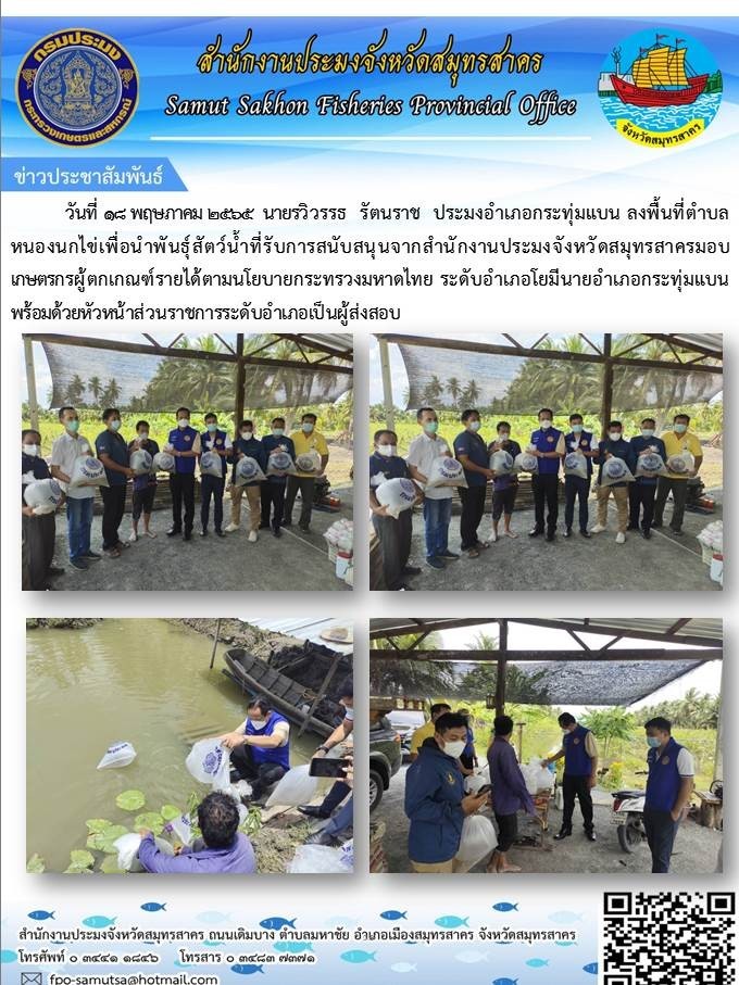 ลงพื้นที่หนองนกไข่เพื่อนำสัตว์น้ำที่รับการสนับสนุนจากสำนักงานประมงจังหวัดสมุทรสาคร  มอบให้เกษตรกรผู้ตกเกณฑ์รายได้ตามนโยบายกระทรวงมหาดไทย ระดับอำเภอโดยมีนยอำเภอกระทุ่มแบนพร้อมด้วยหัวหน้าส่วนราชการระดับอำเภอเป็นผู้ส่งมอบ..คลิก