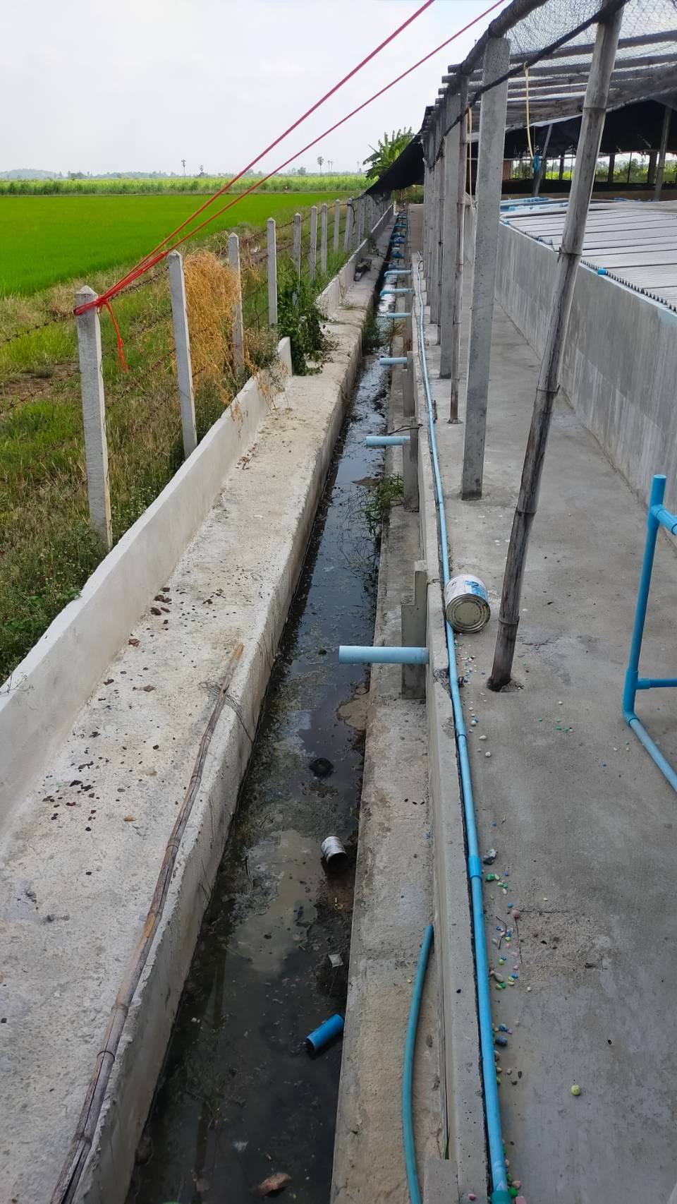 ติดตาม เร่งรัด การปฏิบัติงาน แก้ไขปัญหาด้านการประมงในพื้นที่อำเภอพนมทวน..คลิก