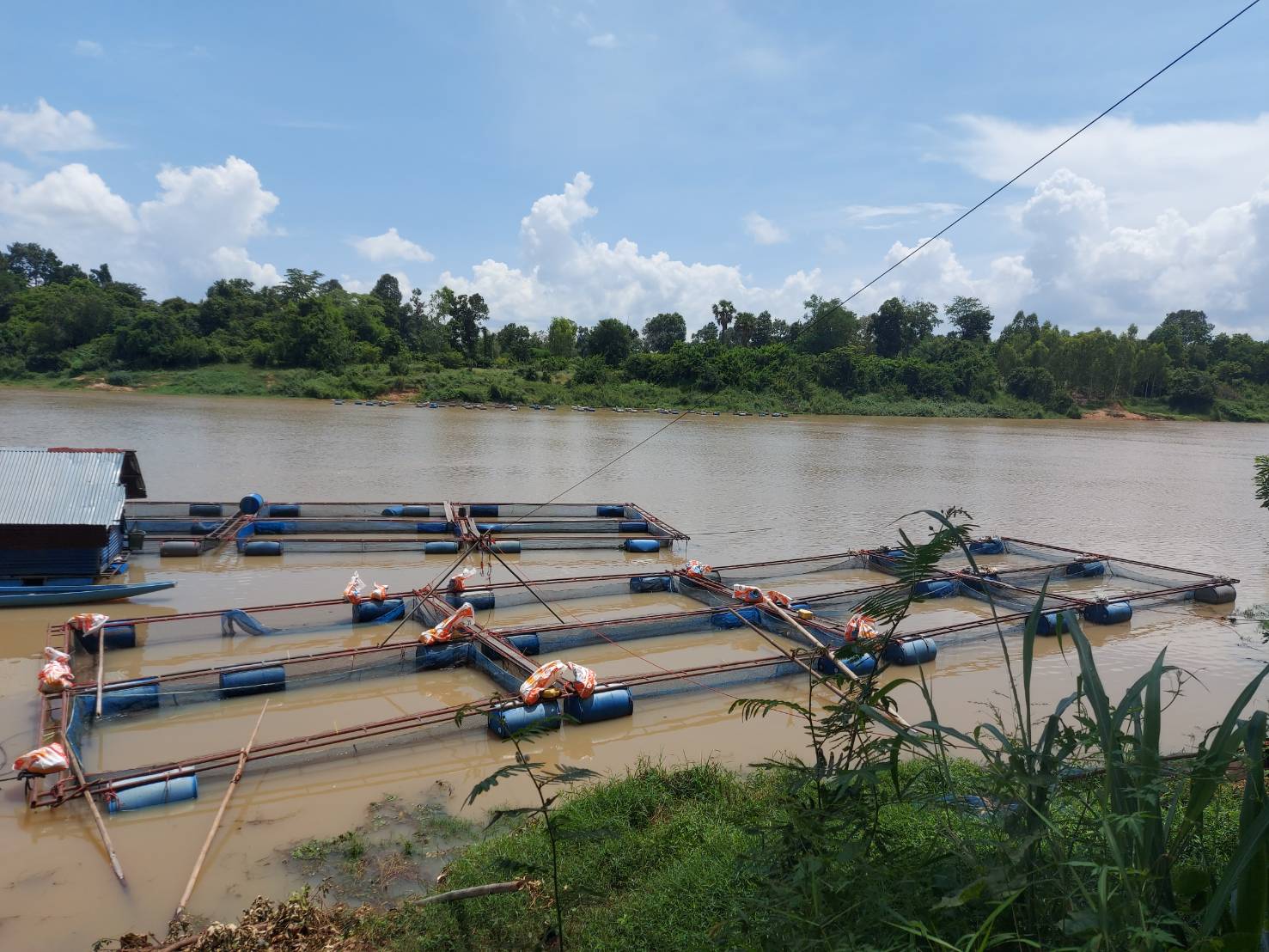 ประมงอำเภอวารินชำราบ ลงพื้นที่ให้บริการรับคำขอใบอนุญาตให้ทำการเพาะเลี้ยงสัตว์น้ำในที่จับสัตว์น้ำซึ่งเป็นสาธารณสมบัติของแผ่นดิน  ในพื้นที่ ตำบลบุ่งหวาย อำเภอวารินชำราบ จังหวัดอุบลราชธานี   ..คลิก