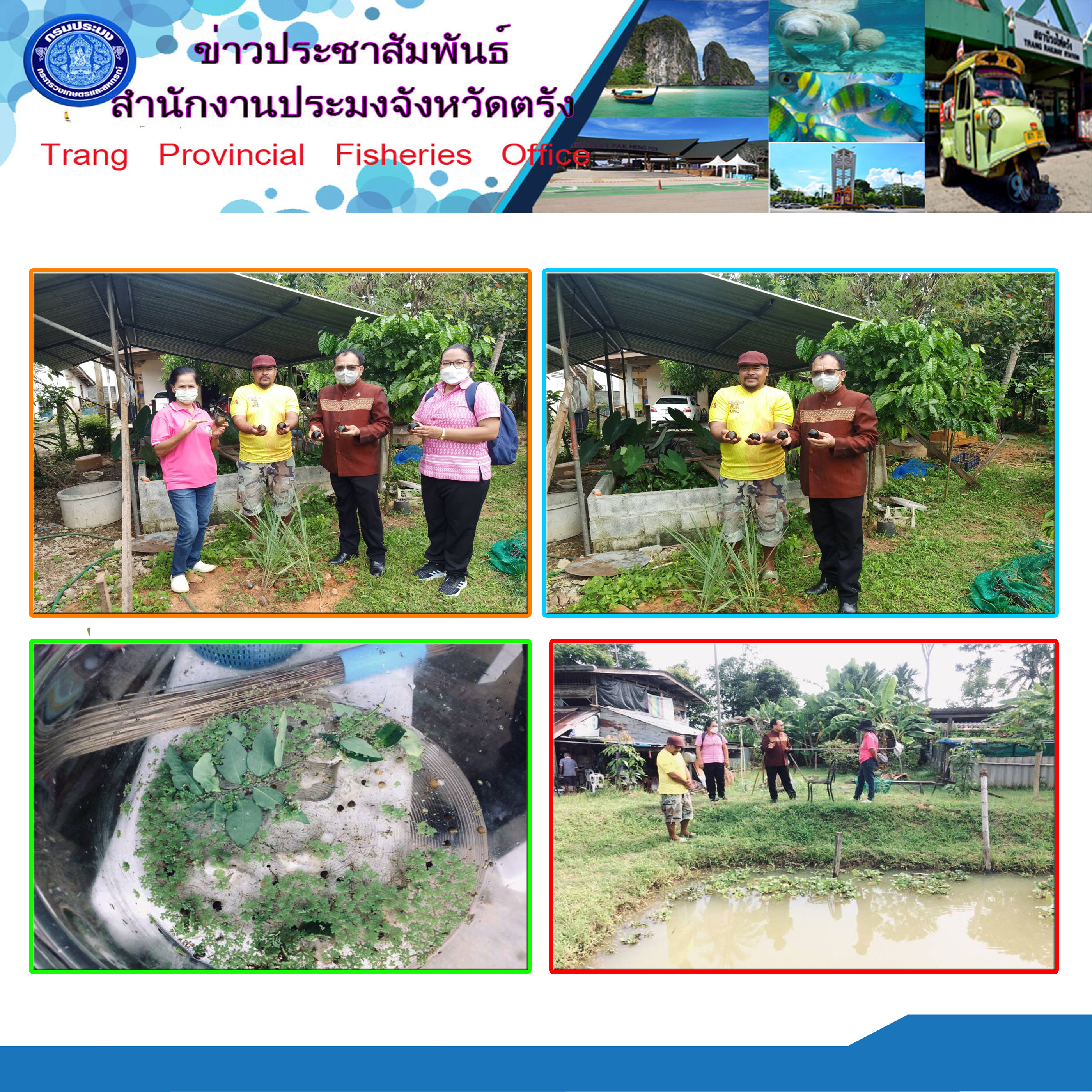 ลงพื้นที่เยี่ยมฟาร์มเลี้ยงหอยโข่ง..คลิก