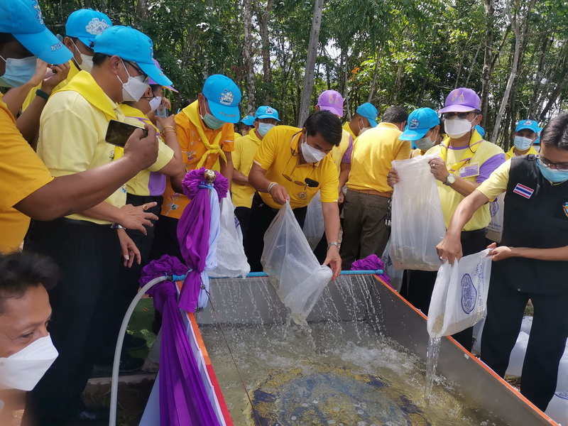 ร่วมกิจกรรมปล่อยพันธุ์สัตว์น้ำเฉลิมพระเกียรติ..คลิก