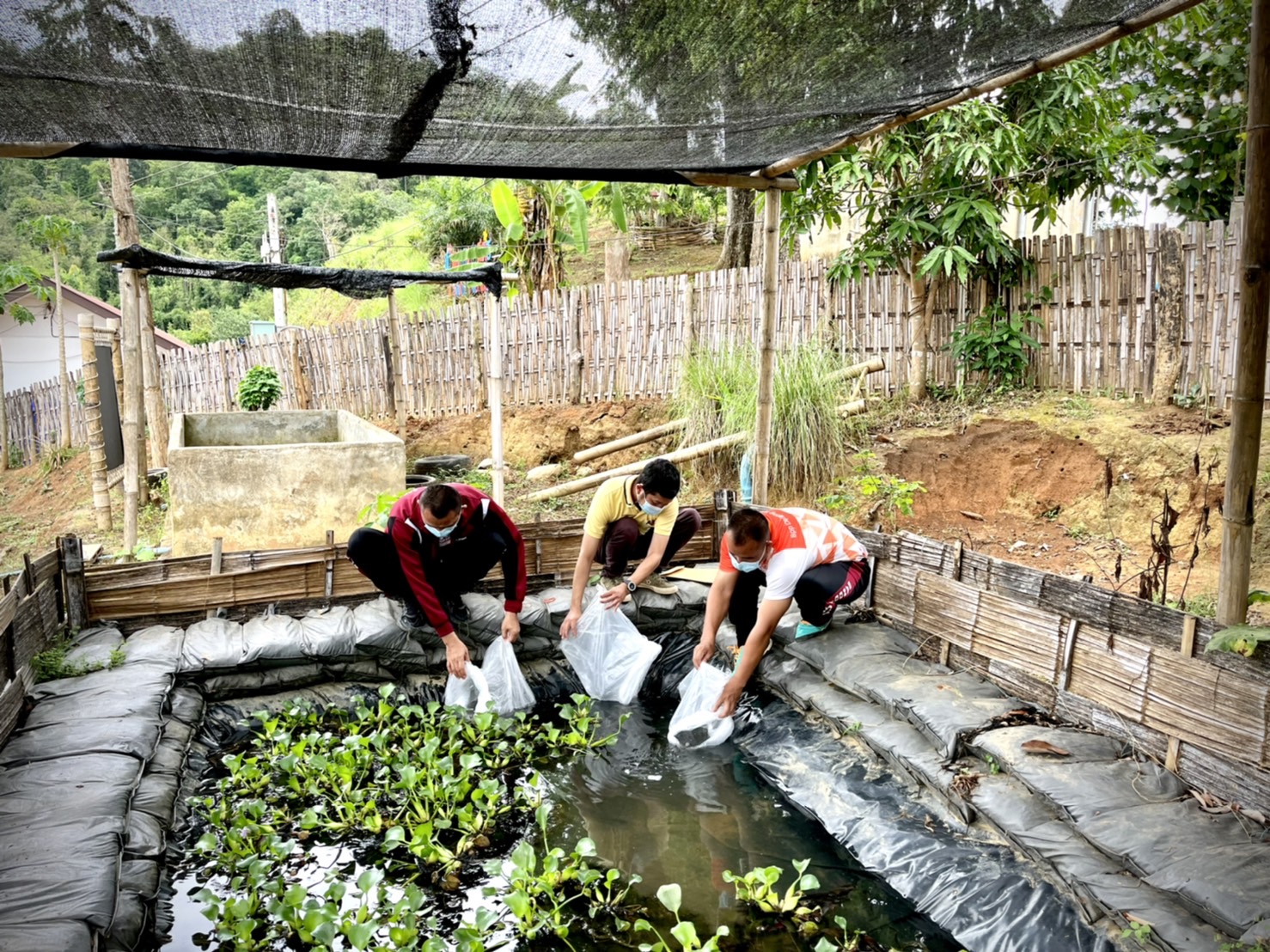 สำนักงานประมงจังหวัดแม่ฮ่องสอน ลงพื้นที่ติดตามให้คำแนะนำด้านการเพาะเลี้ยงสัตว์น้ำพร้อมส่งมอบปัจจัยการผลิต ให้แก่โรงเรียนในโครงการสนับสนุนด้านการประมงตามพระราชดำริฯ..คลิก