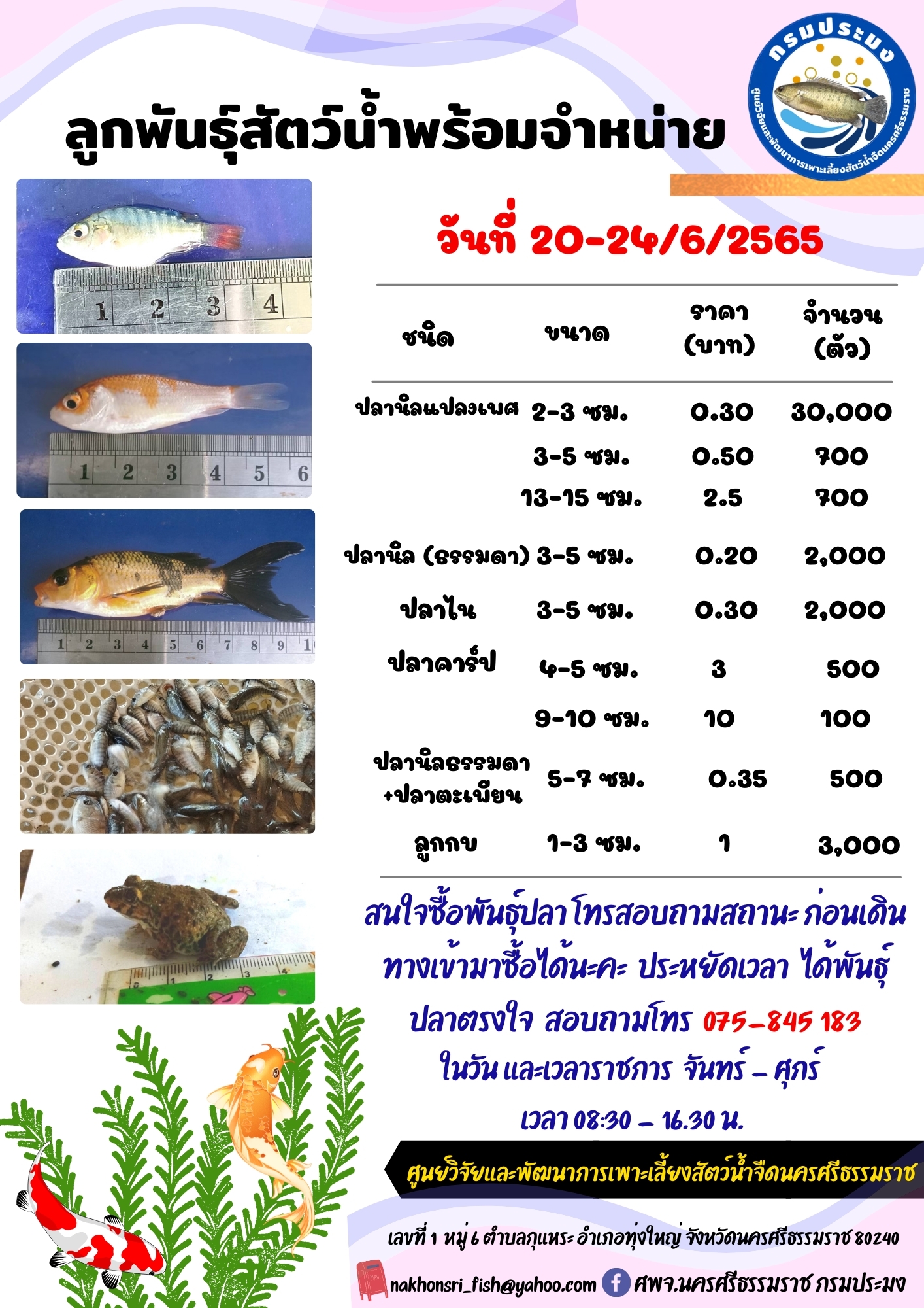 ลูกพันธุ์สัตว์น้ำพร้อมจำหน่าย..คลิก