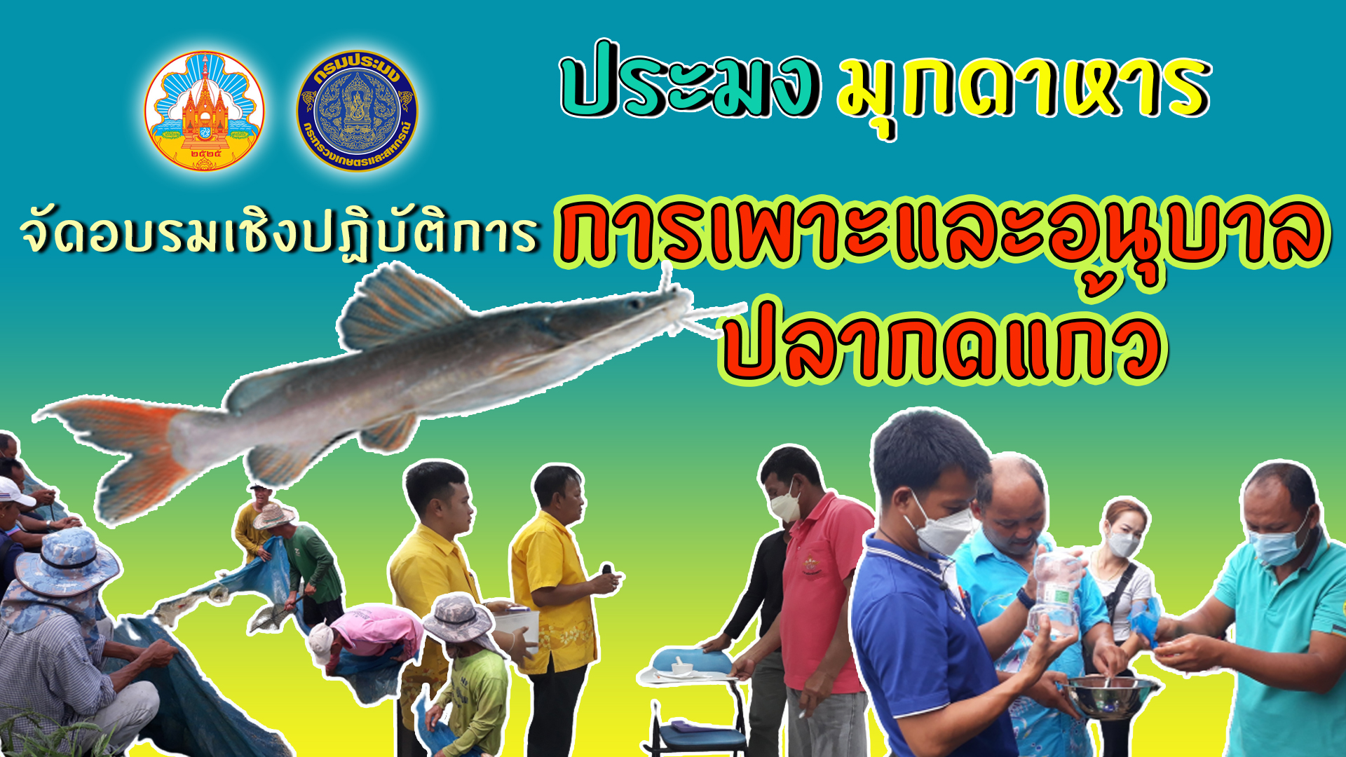 ฝึกอบรมเกษตรกรเชิงปฏิบัติการ หลักสูตร “การเพาะและอนุบาลปลากดแก้ว”