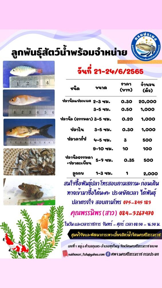 ลูกพันธุ์สัตว์น้ำพร้อมจำหน่าย..คลิก