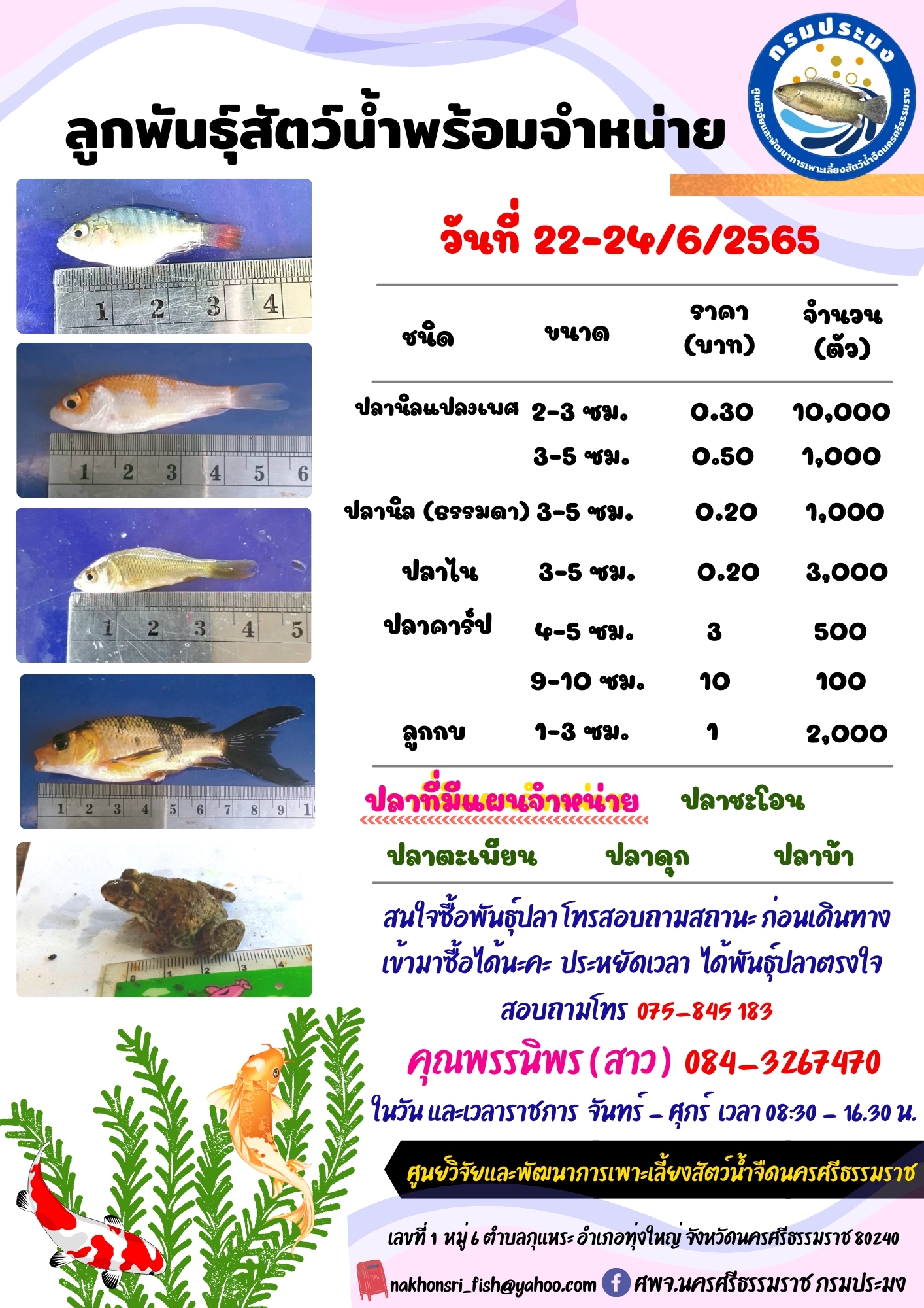 ลูกพันธุ์สัตว์น้ำพร้อมจำหน่าย..คลิก