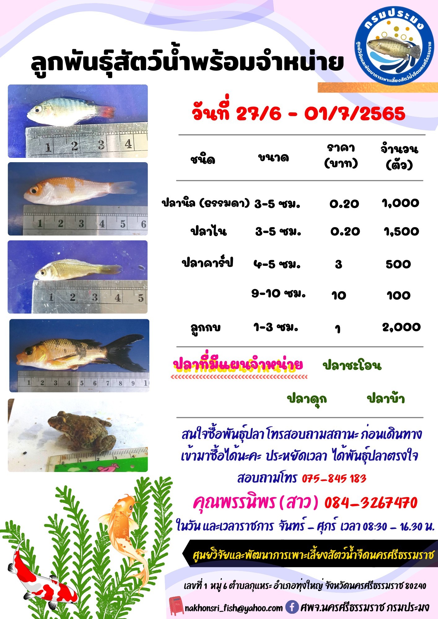 ลูกพันธุ์สัตว์น้ำพร้อมจำหน่าย..คลิก