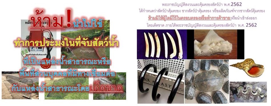การซื้อ-ขาย สินค้าบางชนิดบนแพลตฟอร์มออนไลน์