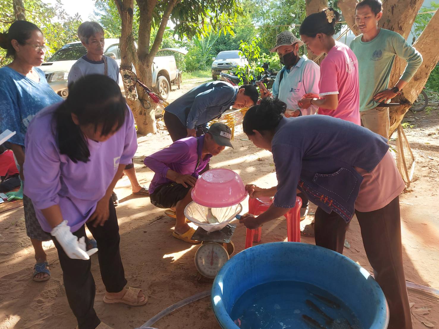 วันที่ 28 มิถุนายน 2565  เวลา 13.00 น.        นางสาวมลฤดี  ลิ้มสุวรรณ ประมงอำเภอศรีบุญเรือง ปฏิบัติงานติดตามและทบทวนการดำเนินงานการเพาะพันธุ์ปลาตะเพียนด้วยชุดเพาะพันธุ์ปลาเคลื่อนที่ บ้านโนนสำราญ หมู่ที่ 8 ตำบลนากอก อำเภอศรีบุญเรืองจังหวัดหนองบัวลำภู..คลิก