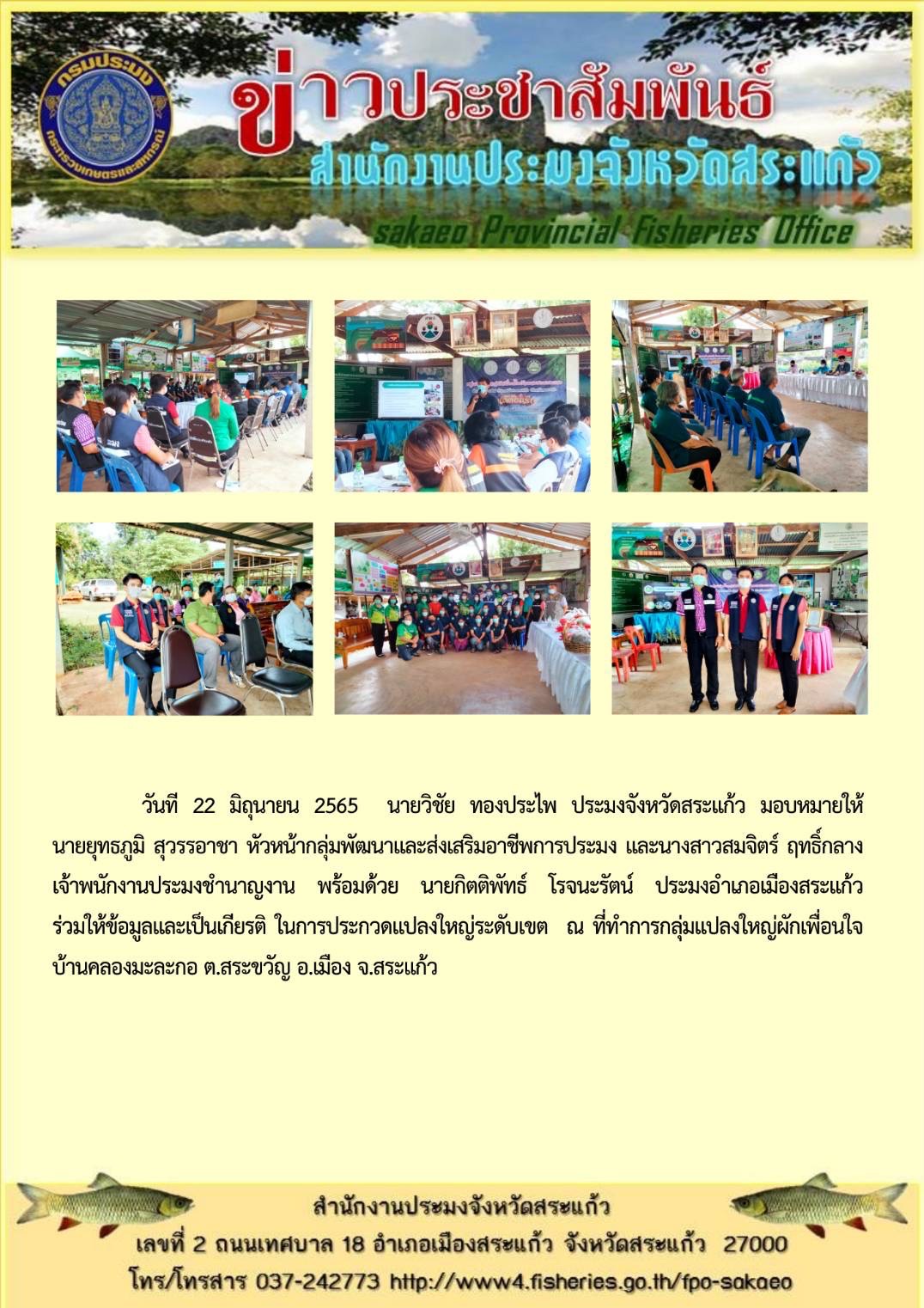 การประกวดแปลงใหญ่ระดับเขต..คลิก