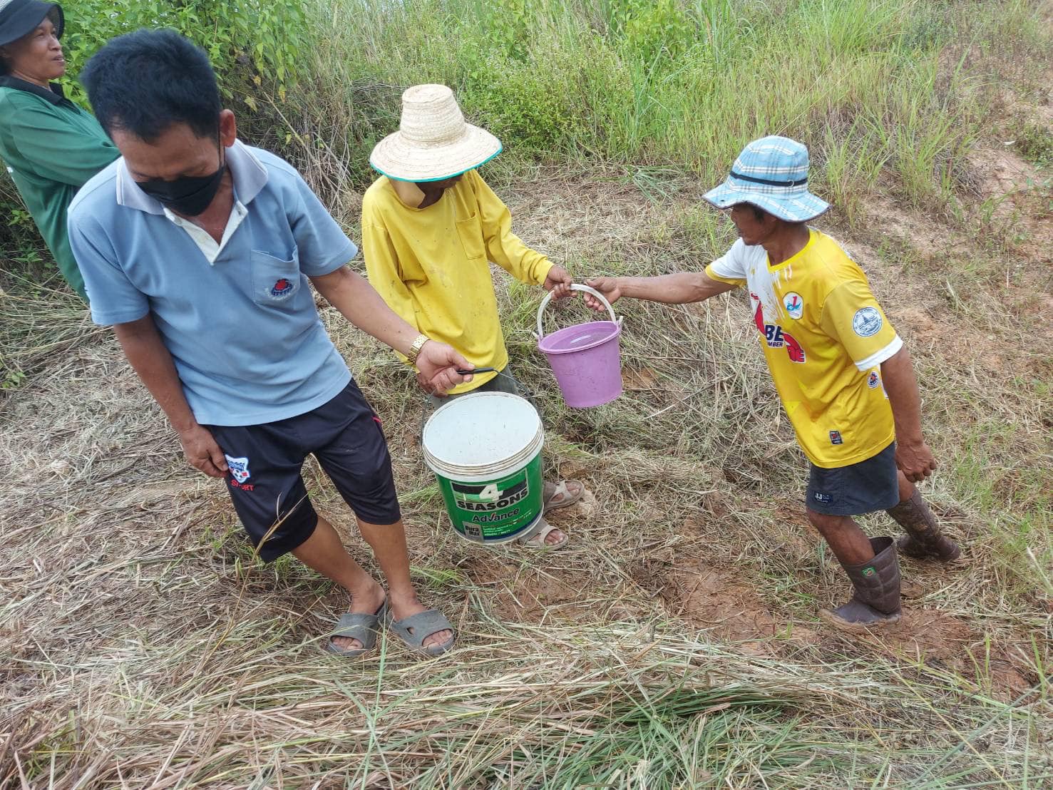วันที่ 2 กรกฎาคม 2565 นางสาวมลฤดี ลิ้มสุวรรณ ร่วมกับเกษตรกรกลุ่มเพาะพันธุ์ปลาบ้านโนนสำราญ ย้ายลูกปลาตะเพียนขาวที่ได้จากการเพาะด้วยชุดเพาะพันธุ์ปลาเคลื่อนที่ ณ กลุ่มเพาะพันธุ์ปลาบ้านโนนสำราญ หมู่ที่ 8 ตำบลนากอก อำเภอศรีบุญเรือง จังหวัดหนองบัวลำภู..คลิก