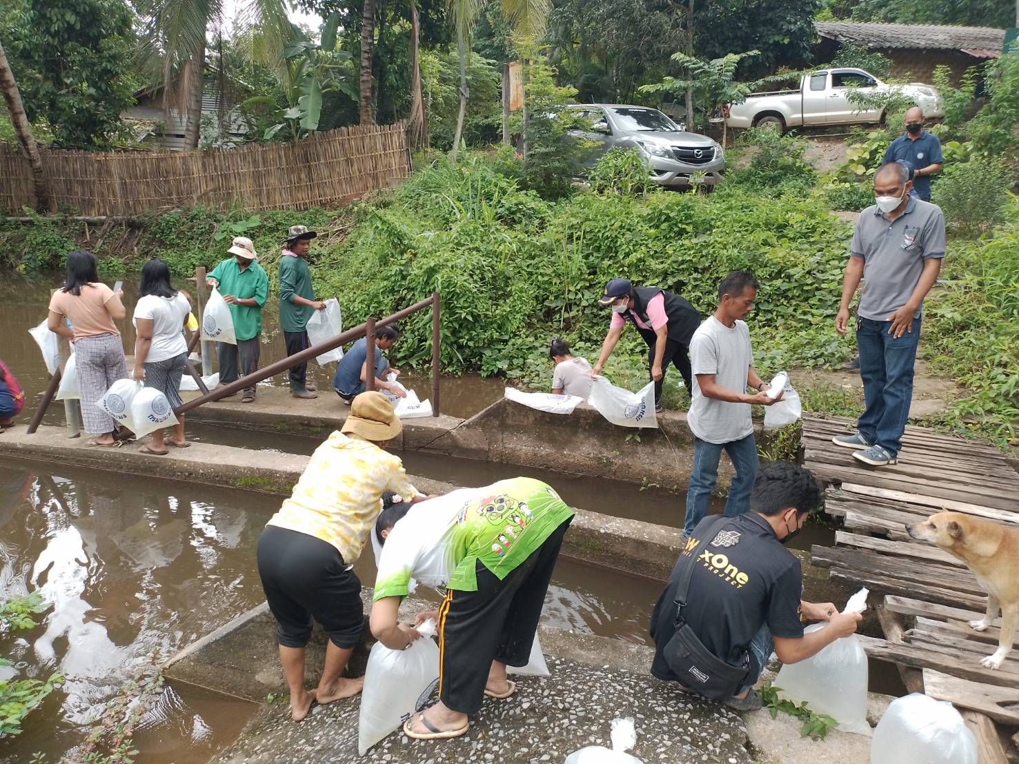 โครงการปล่อยพันธุ์สัตว์น้ำเพื่อฟื้นฟูให้เป็นแหล่งอาหารและคงความหลากหลายของทรัพยากรประมงในแหล่งน้ำภายใต้โครงการพัฒนาพื้นที่โครงการหลวง..คลิก