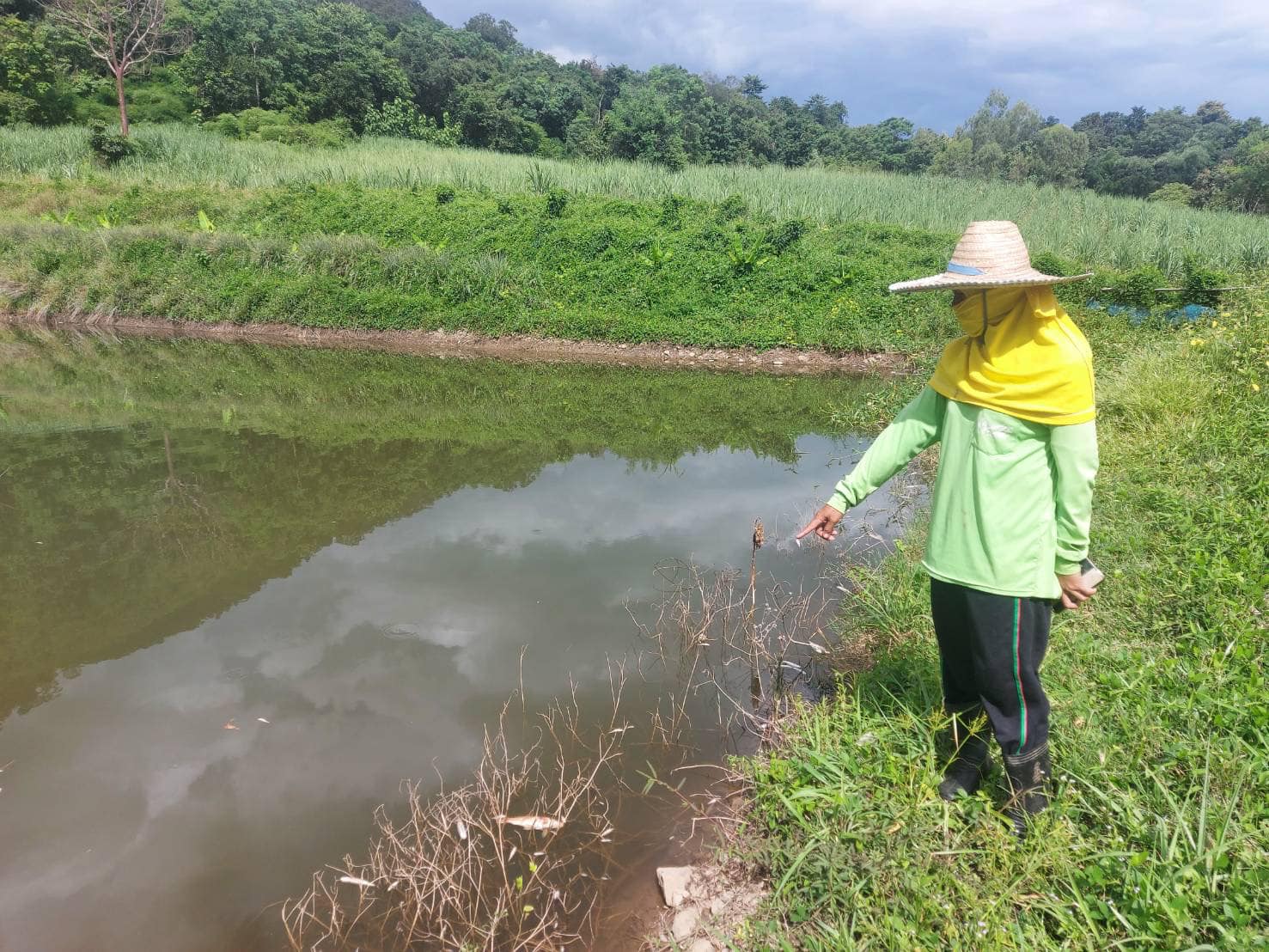 วันที่ 5 กรกฎาคม 2565  นายเมธา ตาลเหล็ก ประมงอำเภอนากลาง ได้รับแจ้งจากเกษตรกรเลี้ยงสัตว์น้ำ มีสัตว์น้ำในบ่อเลี้ยงตายจำนวนมาก จึงได้ลงพื้นที่ตรวจสอบข้อมูลหาแนวทางแก้ไข เบื้องต้นให้คำแนะนำเกษตรกรตักปลาที่ตายออก เพิ่มออกซิเจนให้น้ำ เฝ้าสังเกตุอาการเพื่อติดตามแก้ไขต่อไป ณ บ้านสนามชัย หมู่ 6 ตำบลกุดแห่ อำเภอนากลาง จังหวัดหนองบัวลำภู..คลิก