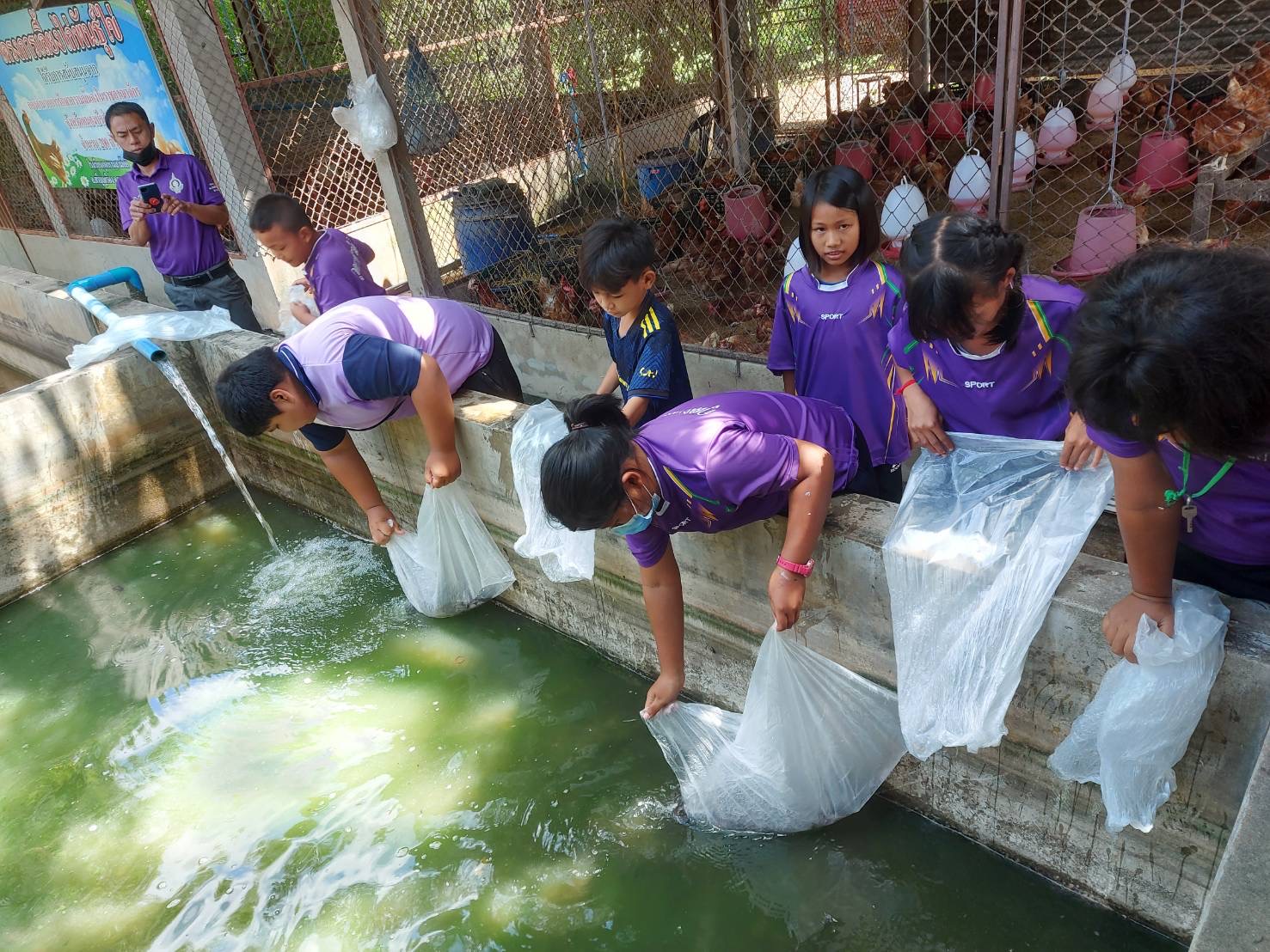 วันที่ 6 กรกฎาคม 2565          นางสาวมลฤดี  ลิ้มสุวรรณ ประมงอำเภอศรีบุญเรือง ปฎิบัติงานดังนี้..คลิก