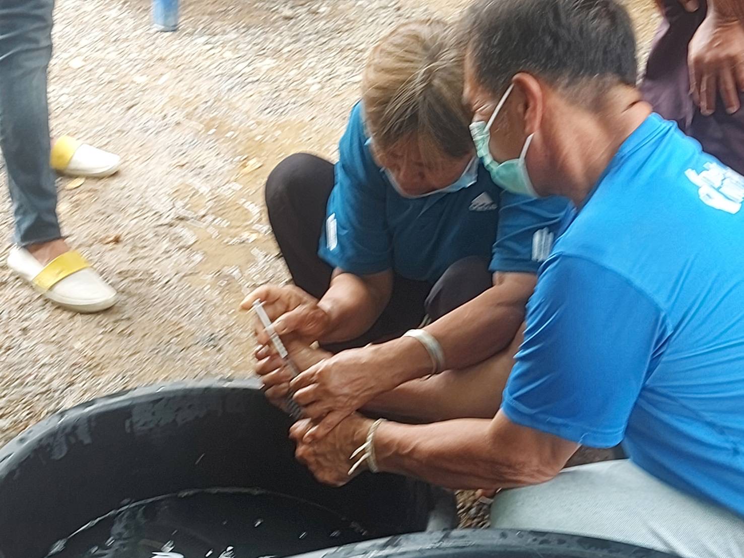 วันที่ 7 กรกฎาคม 2565 นายเมธา ตาลเหล็ก ประมงอำเภอนากลาง  ร่วมกับองค์การบริหารส่วนตำบลวังทอง ทบทวนและขยายผลการดำเนินงานเพาะพันธุ์ปลาตะเพียนด้วยชุดเพาะพันธุ์ปลาเคลื่อนที ณ บ้านไทยนิยม หมู่  5 ตำบลวังทอง อำเภอนาวัง จังหวัดหนองบัวลำภู..คลิก