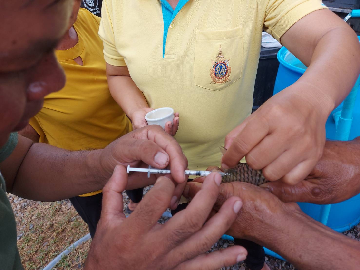 วันที่ 19 กรกฎาคม 2565       นางสาวมลฤดี  ลิ้มสุวรรณ ประมงอำเภอศรีบุญเรือง ปฏิบัติงานติดตามและทบทวนการดำเนินงานการเพาะพันธุ์ปลาตะเพียนด้วยชุดเพาะพันธุ์ปลาเคลื่อนที่ ตามโครงการส่งเสริมเกษตรอินทรีย์ วิถีหนองบัวลำภู ตามหลักเกษตร - ศาสตร์พระราชา ของกลุ่มเพาะพันธุ์ปลาบ้านนาแพง ตำบลศรีบุญเรือง อำเภอศรีบุญเรือง จังหวัดหนองบัวลำภู..คลิก