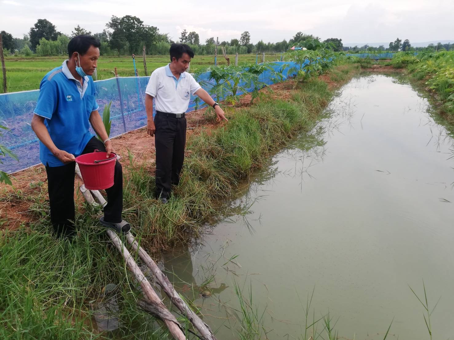 วันที่ 20 กรกฎาคม 2565  นายวิทยา ประเสริฐสังข์ ประมงอำเภอโนนสัง  ติดตามการอนุบาลเพาะพันธุ์ปลาตะเพียนด้วยชุดเพาะพันธุ์ปลาเคลื่อนที่ ตามโครงการส่งเสริมเกษตรอินทรีย์ วิถีหนองบัวลำภู ตามหลักเกษตร - ศาสตร์พระราชา ณ จุดเรียนรู้นายสุริยะ นามรินทร์ ตำบลหนองเรือ อำเภอโนนสัง จังหวัดหนองบัวลำภู..คลิก