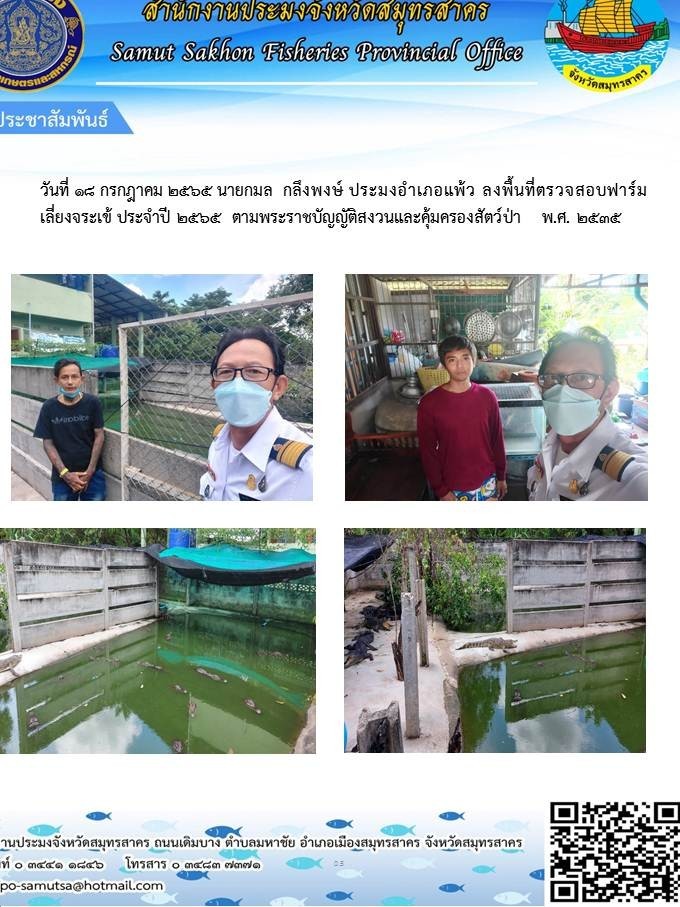 ประมงอำเภอบ้านแพ้ว  ลงพื้นที่ตรวจฟาร์มเลี้ยงจระเข้ ประจำปี 2565 ตามพระราชบัญญัติสงวนและคุ้มครองสัตว์ป่า พ.ศ.2535