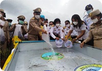 พิธีปล่อยพันธุ์สัตว์น้ำ เฉลิมพระเกียติ..คลิก