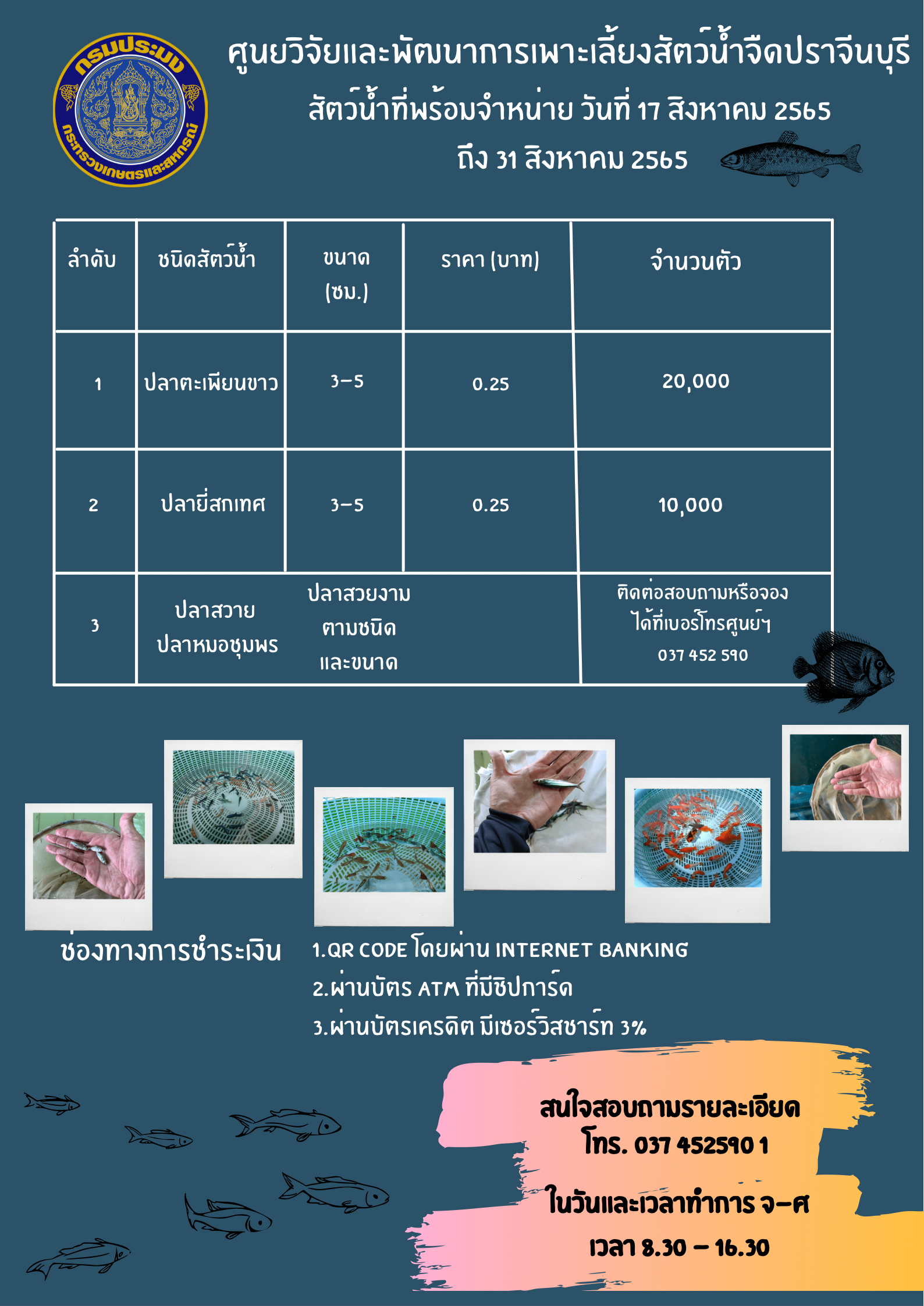 จำหน่ายพันธุ์สัตว์น้ำ 17 ถึง 31 ส.ค. 2565..คลิก