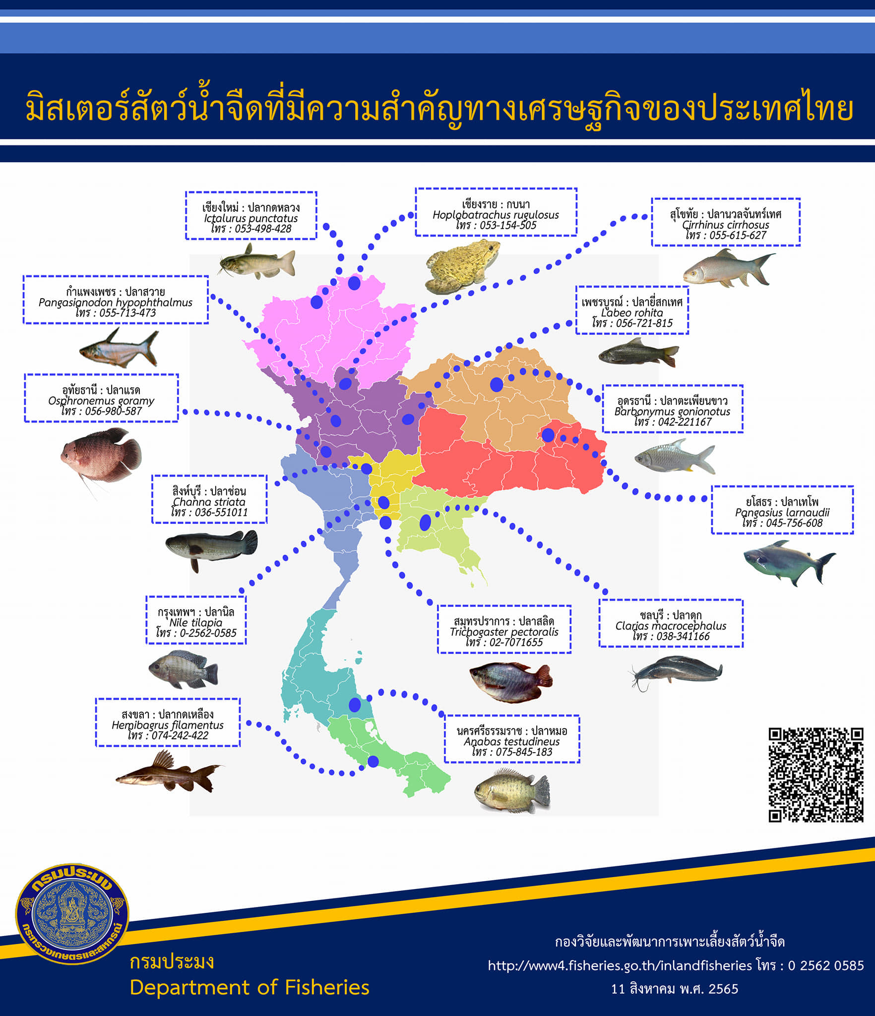 มิสเตอร์สัตว์น้ำจืดที่มีความสำคัญทางเศรษฐกิจของประเทศไทย