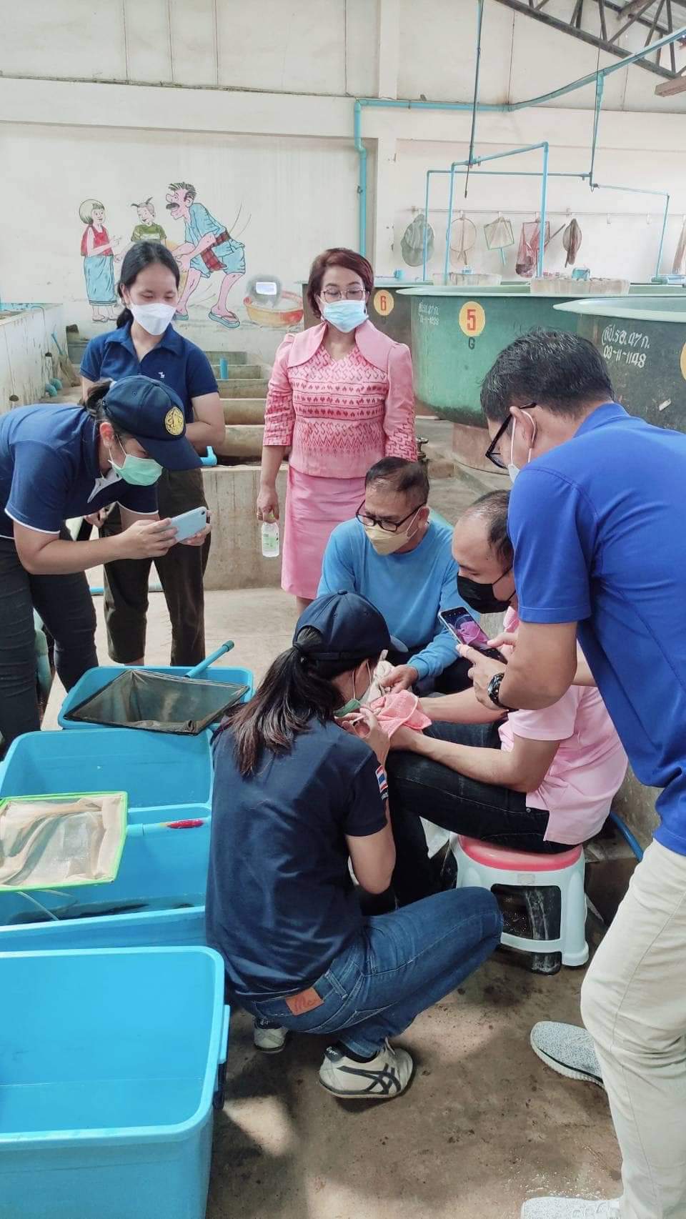 สำนักงานประมงจังหวัดเพชรบูรณ์ ศึกษาดูงานการเพาะเลี้ยงปลาหลดจุด..คลิก