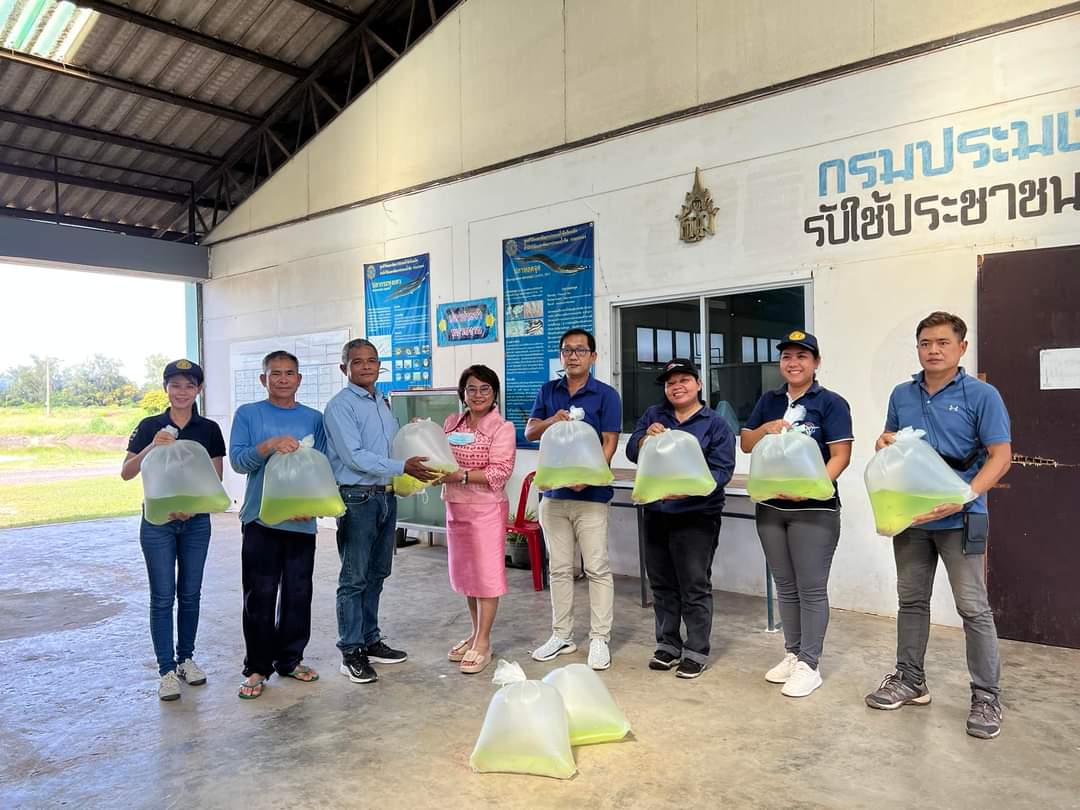 สำนักงานประมงจังหวัดเพชรบูรณ์ ศึกษาดูงานการเพาะเลี้ยงปลาหลดจุด