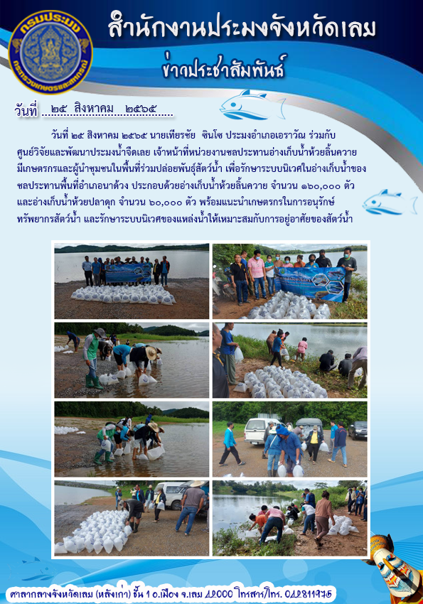 ปล่อยพันธุ์สัตว์น้ำเพื่อรักษาระบบนิเวศในอ่างเก็บน้ำของกรมชลประทานพื้นที่อำเภอนาด้วง