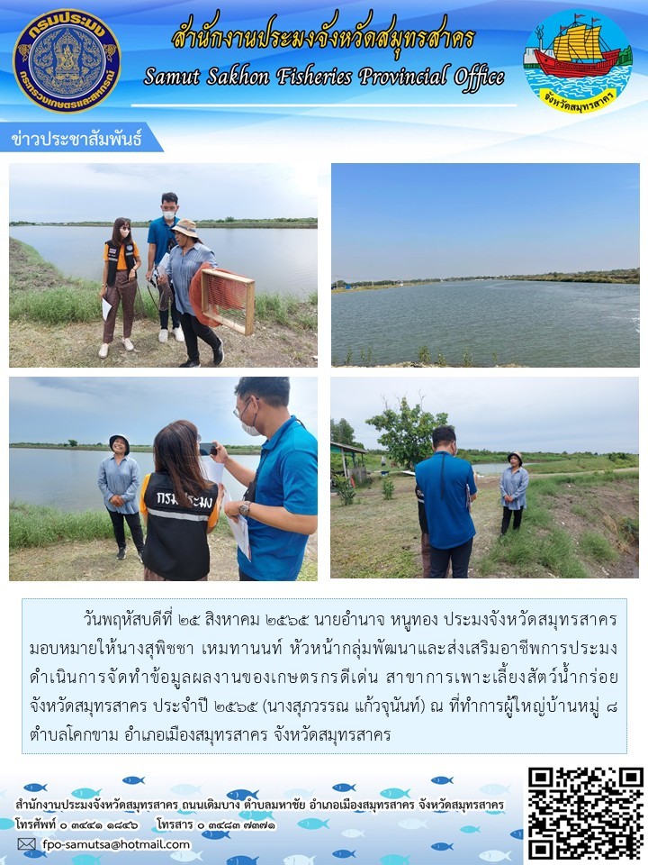 วันพฤหัสบดีที่ 25 สิงหาคม 2565 นายอำนาจ หนูทอง  ประมงจังหวัดสมุทรสาคร มอบหมายให้นางสุพิชชา เหมทานนท์ หัวหน้ากลุ่มพัฒนาและส่งเสริมอาชีพการประมง ดำเนินการจัดทำข้อมูลผลงานของเกษตรกรดีเด่น สาขาการเพาะเลี้ยงสัตว์น้ำกร่อย..คลิก
