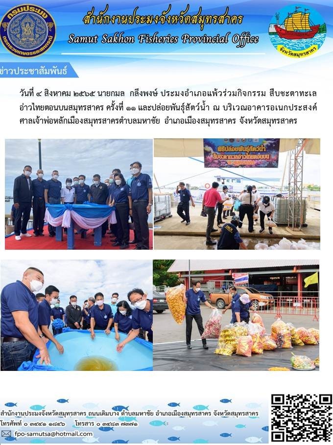วันที่ 4 สิงหาคม 2565 นายกมล  กลึงพงษ์  ประมงอำเภอบ้านแพ้ว ร่วมกิจกรรม สืบชะตาทะเลอ่าวไทยตอนบนสมุทรสาคร ครั้งที่ 11 และปล่อยพันธุ์สัตว์น้ำ..คลิก