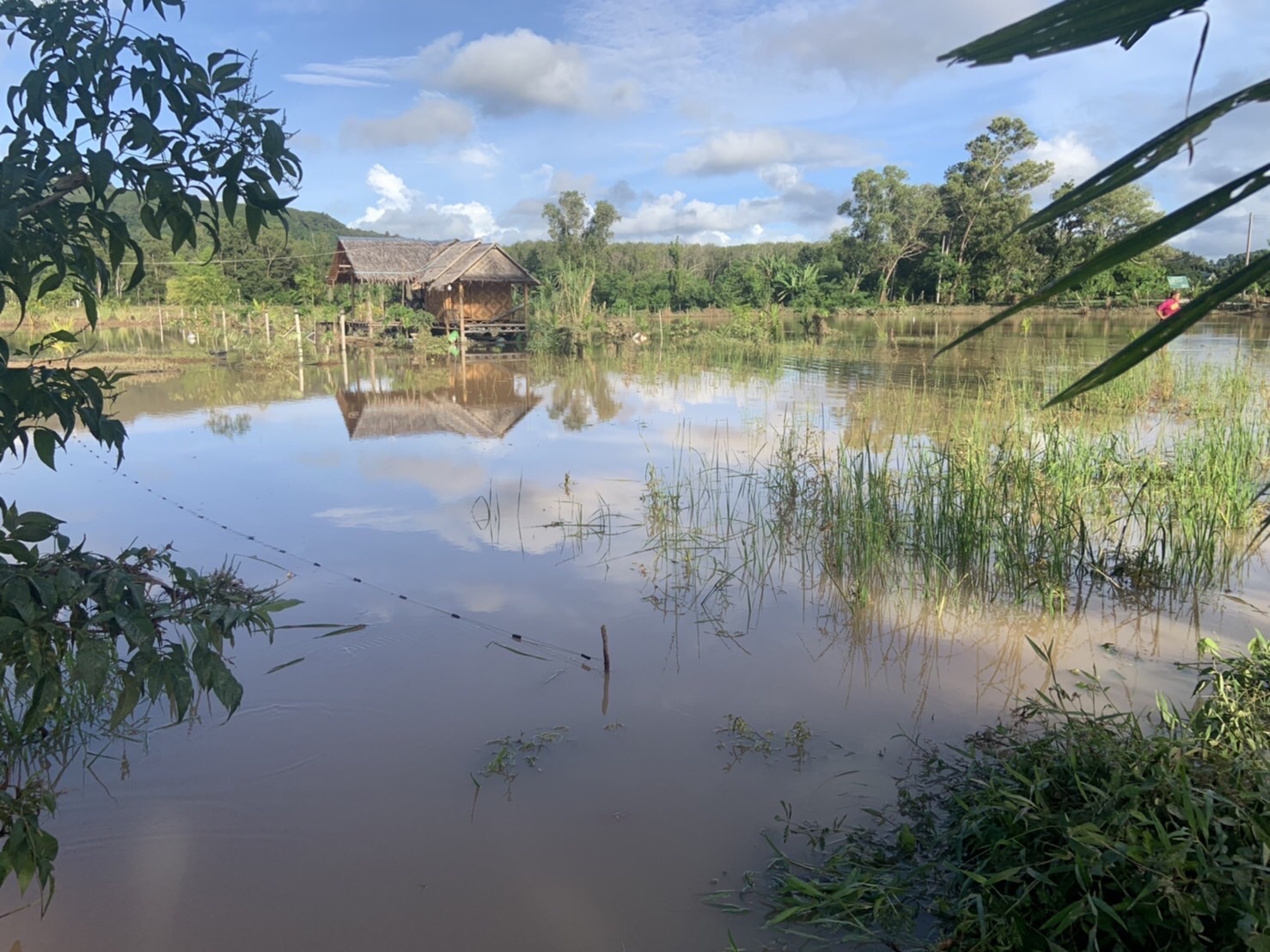 สำนักงานประมงจังหวัดภูเก็ตลงพื้นที่สำรวจข้อมูลเกษตรกรผู้เพาะเลี้ยงสัตว์น้ำผู้ได้รับเสียหาย จากกรณีเหตุภัยพิบัติธรรมชาติน้ำท่วมฉับพลันบ้านไม้ขาว ตำบลไม้ขาว อำเภอถลาง จังหวัดภูเก็ต