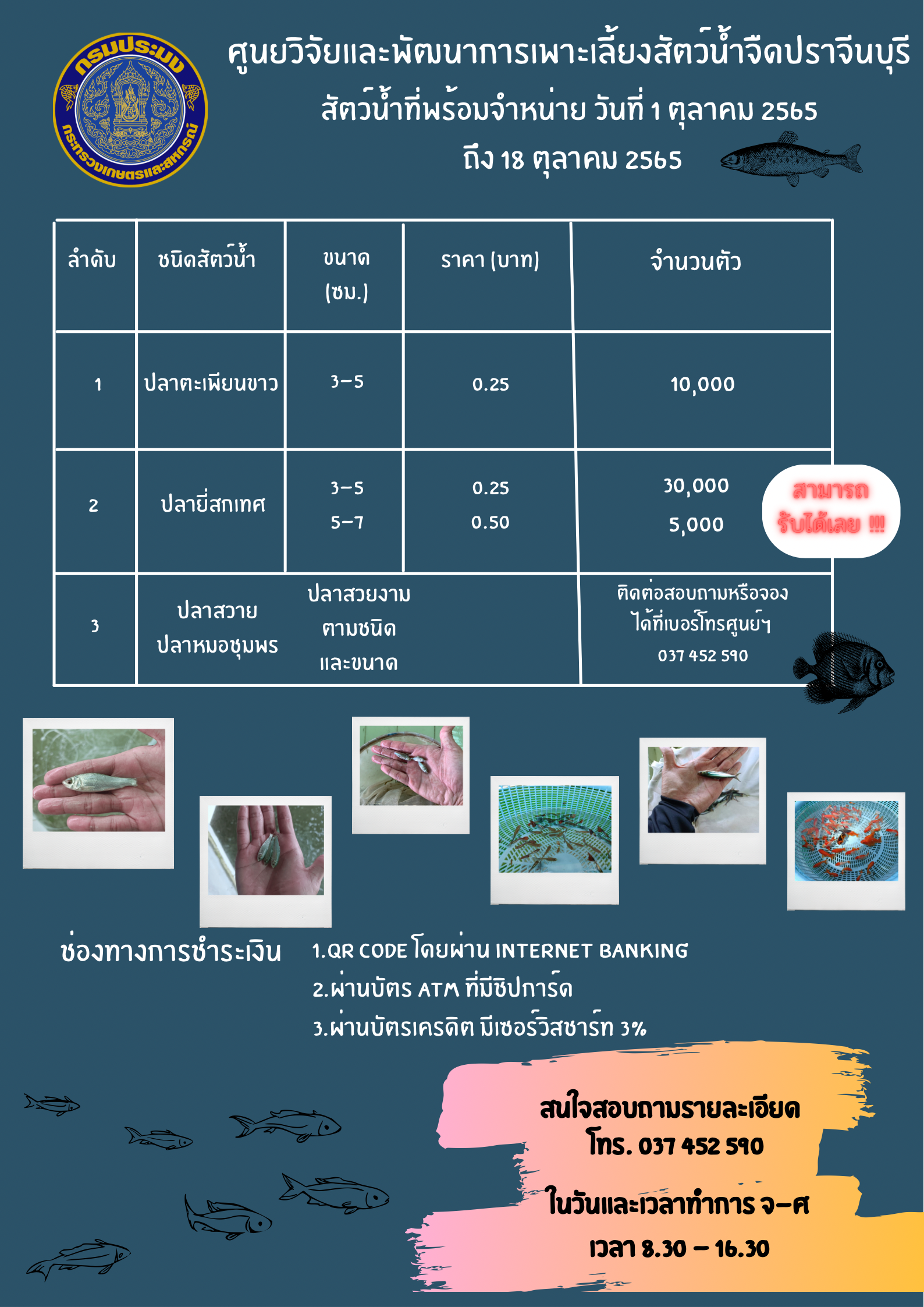 สัตว์น้ำที่พร้อมจำหน่าย วันที่ 1 ตุลาคม ถึง 18 ตุลาคม 2565..คลิก