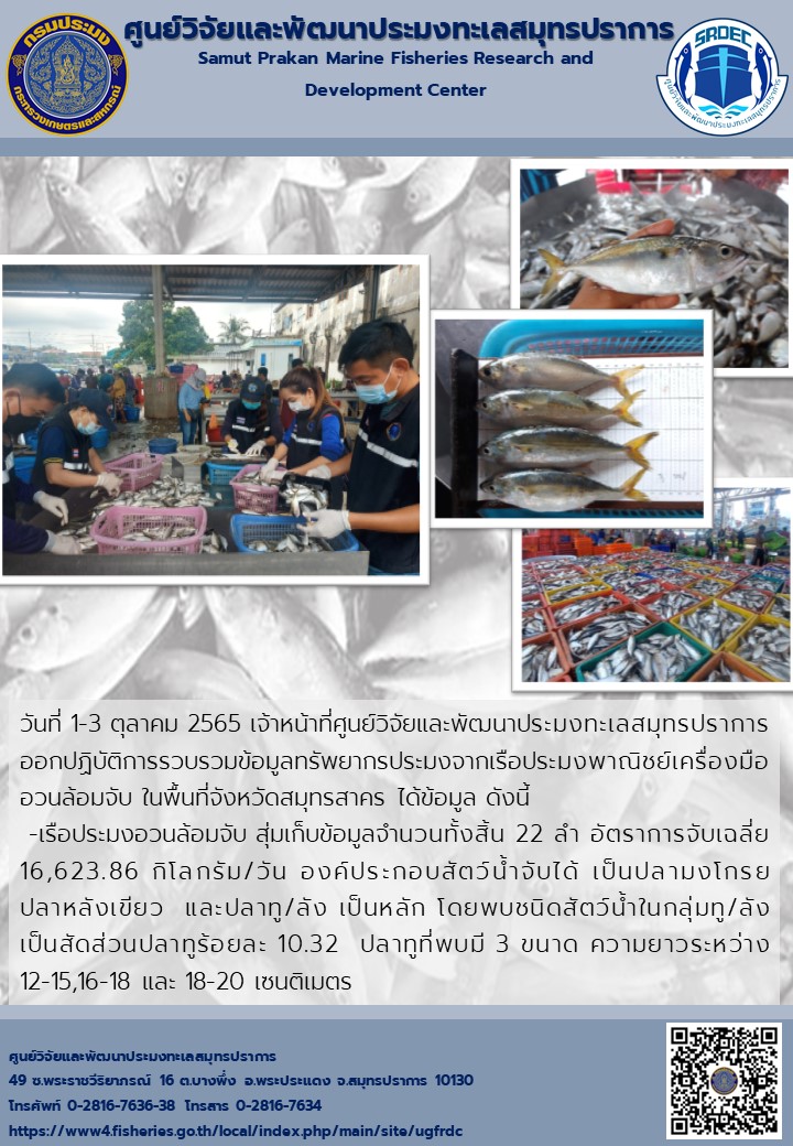 เจ้าหน้าที่ศูนย์วิจัยและพัฒนาประมงทะเลสมุทรปราการ ออกปฏิบัติการรวบรวมข้อมูลทรัพยากรประมงจากเรือประมงพาณิชย์เครื่องมืออวนล้อมจับ ในพื้นที่จังหวัดสมุทรสาคร..คลิก