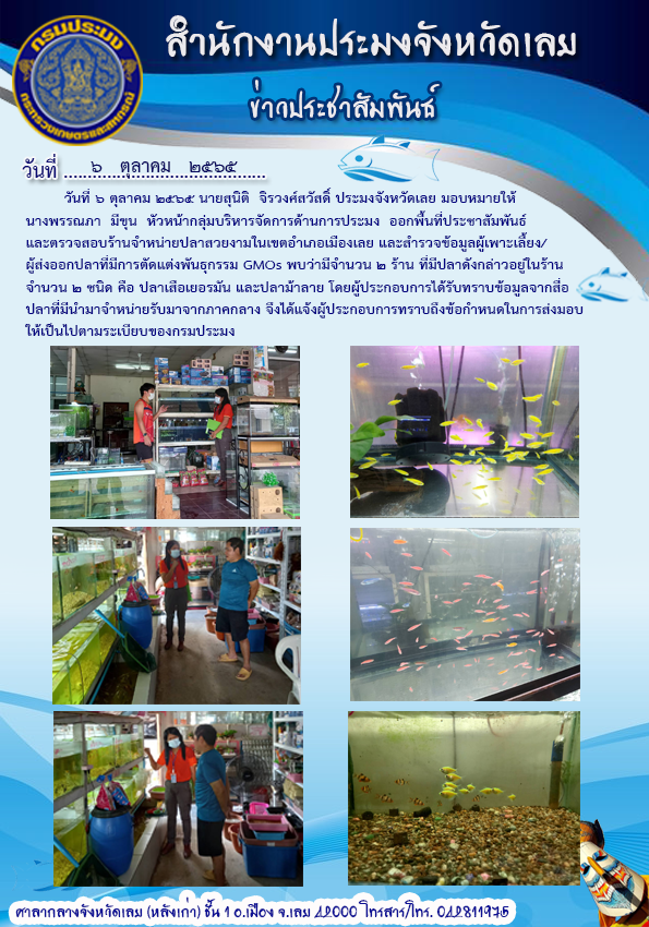 ออกพื้นที่ประชาสัมพันธ์และตรวจสอบร้านจำหน่ายปลาสวยงามในเขตอำเภอเมืองเลย และสำรวจข้อมูลผู้เพาะเลี้ยง/ผู้ส่งออกปลาที่มีการตัดแต่งพันธุกรรม GMOs