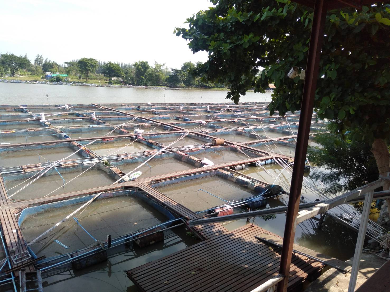 ติดตาม เร่งรัด การปฏิบัติงาน แก้ไขปัญหาด้านการประมงในพื้นที่อำเภอท่าม่วง..คลิก