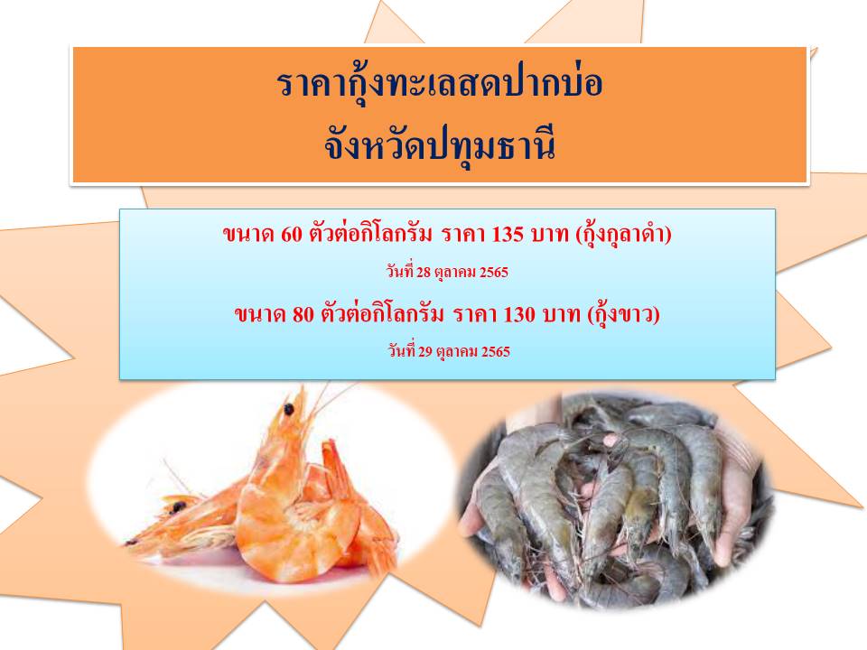 ราคากุ้งสดปากบ่อ จังหวัดปทุมธานี ประจำเดือนพฤศจิกายน..คลิก
